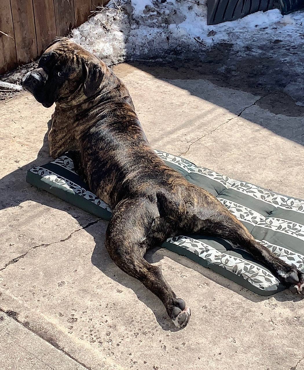 Ford Bronco Sport Ground Tent Suggestions? beach