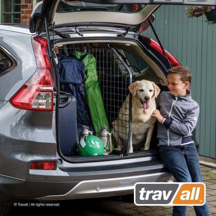 Ford Bronco Sport Front to back cargo divider? tdgd-04_1_1