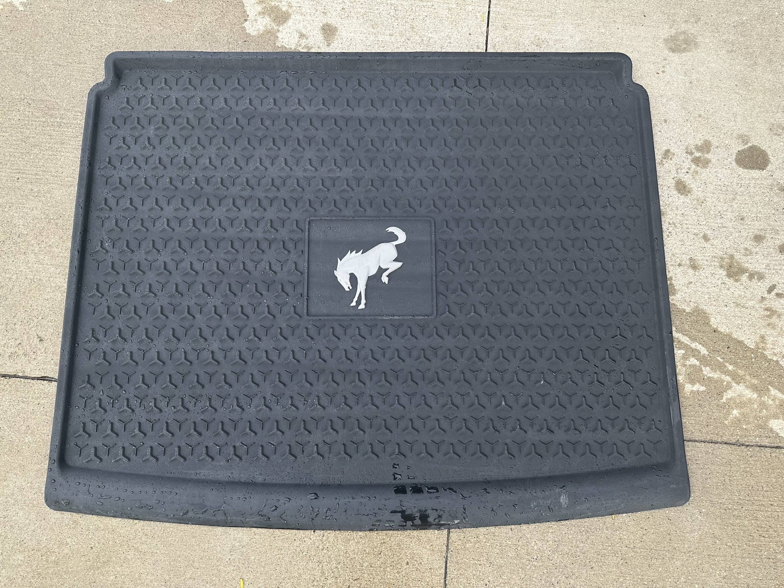 Ford Bronco Sport Floor Matt/Seatback/Cargo Cover Extravaganza! IMG_2639