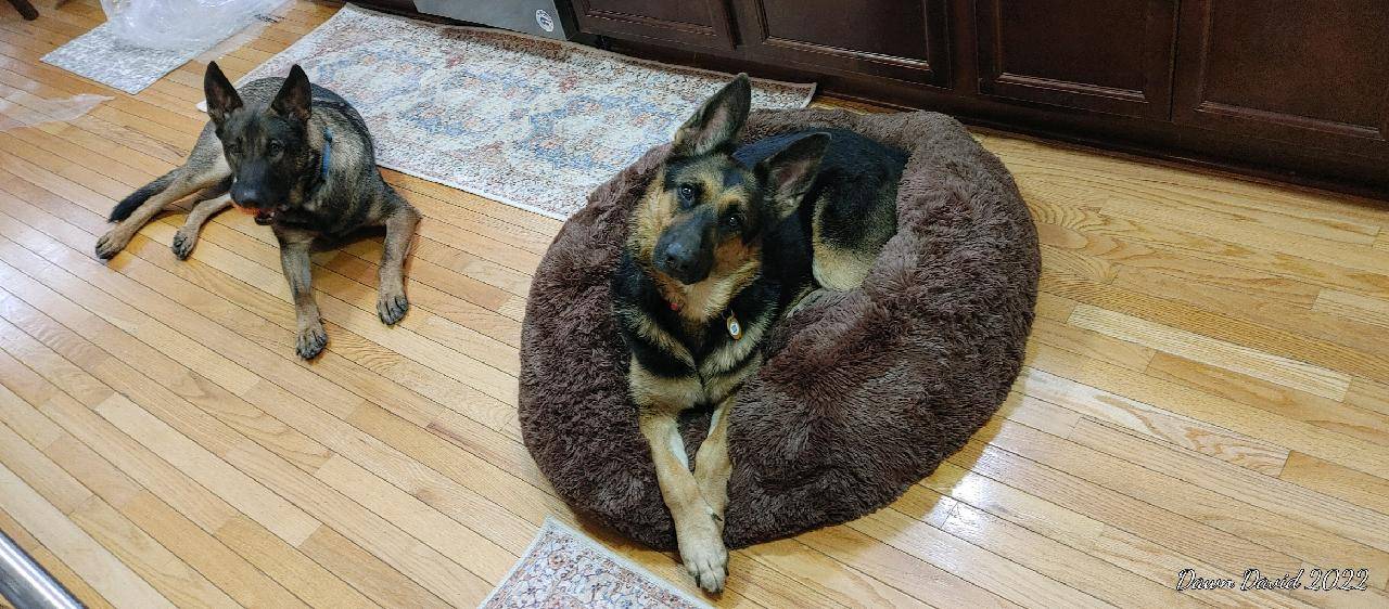 Ford Bronco Sport What are your hobbies? 25215