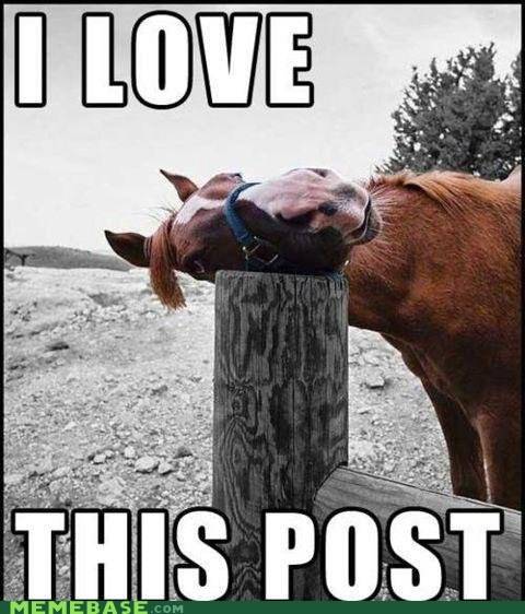 Ford Bronco Sport New Bronco Sport trimline - the covered by warranty almost-as-good-as-this-thread