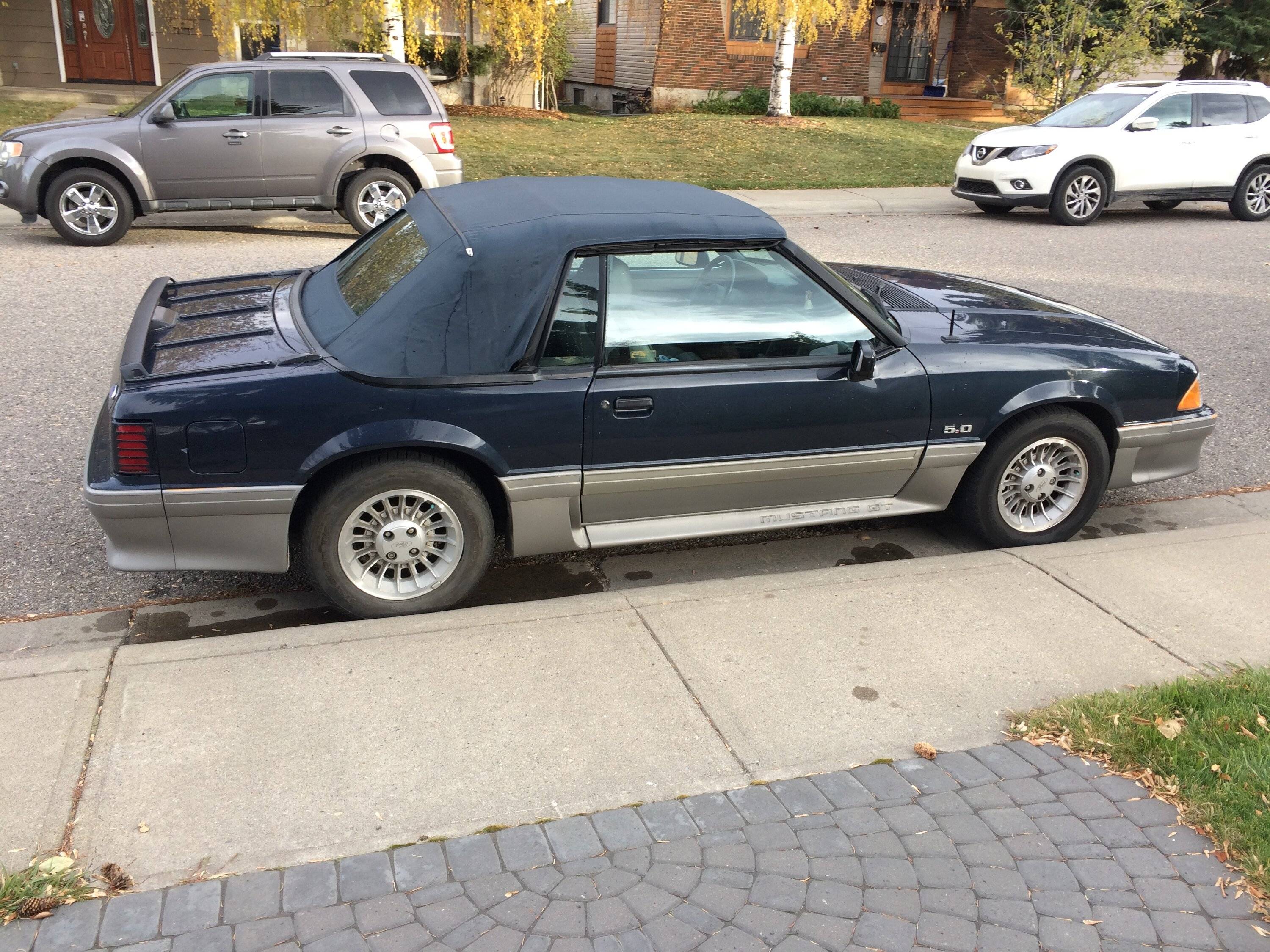 Ford Bronco Sport If you could locate and buy your first vehicle, would you? 1683862359749