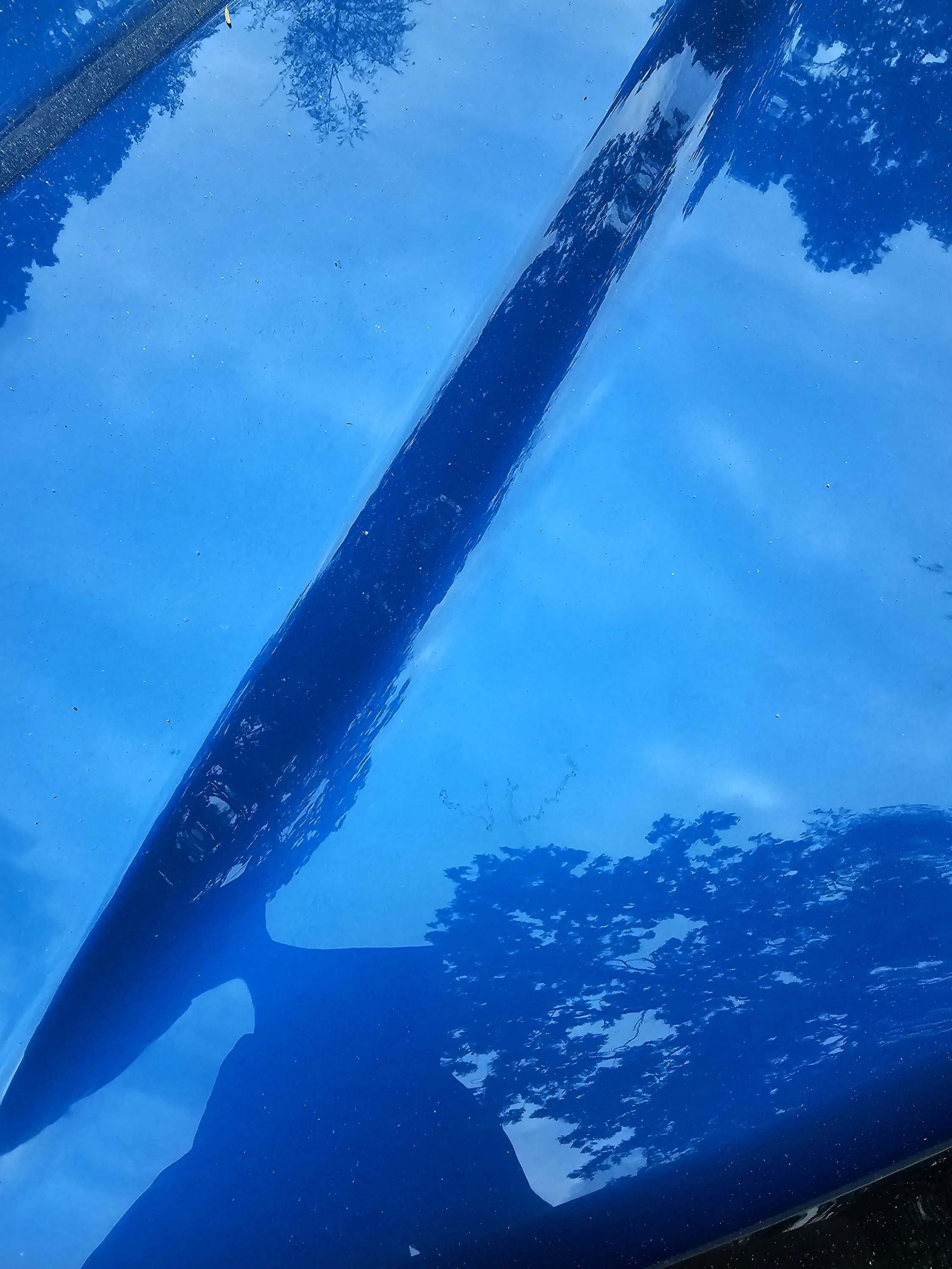 Ford Bronco Sport Bird poop ate through clearcoat 20230514_123550