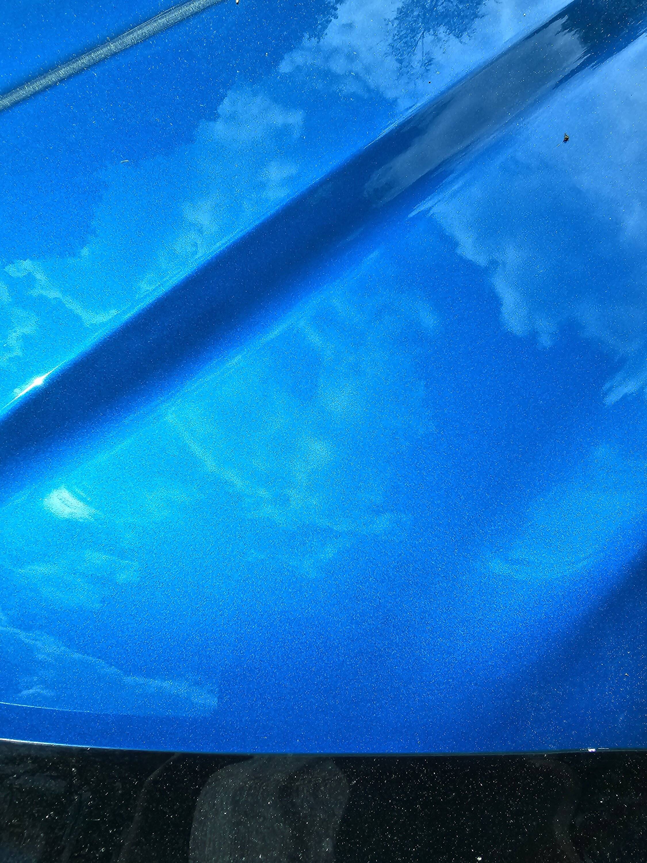 Ford Bronco Sport Bird poop ate through clearcoat 20230514_143857