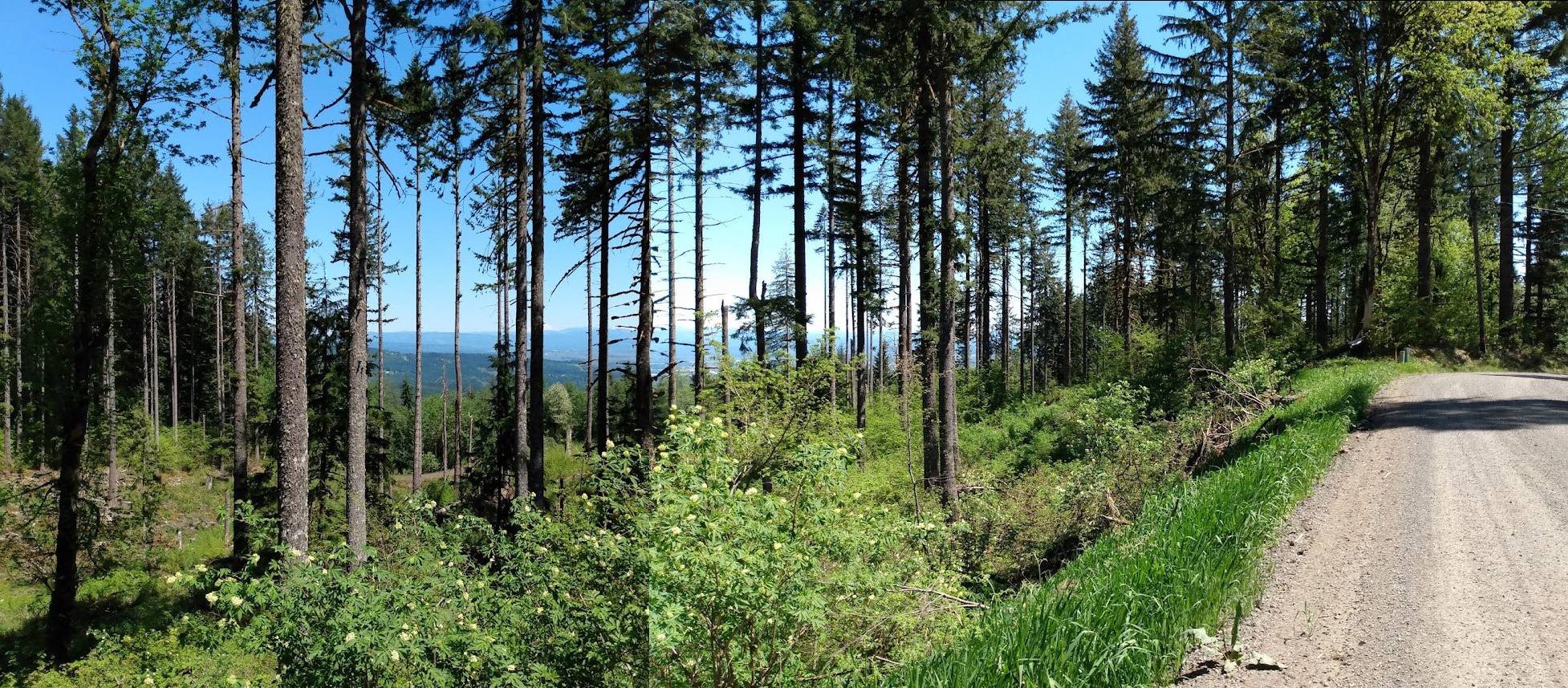 Ford Bronco Sport What did you do TO your Bronco Sport today? pano