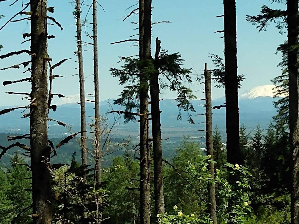 Ford Bronco Sport What did you do TO your Bronco Sport today? IMG_20230514_123634242