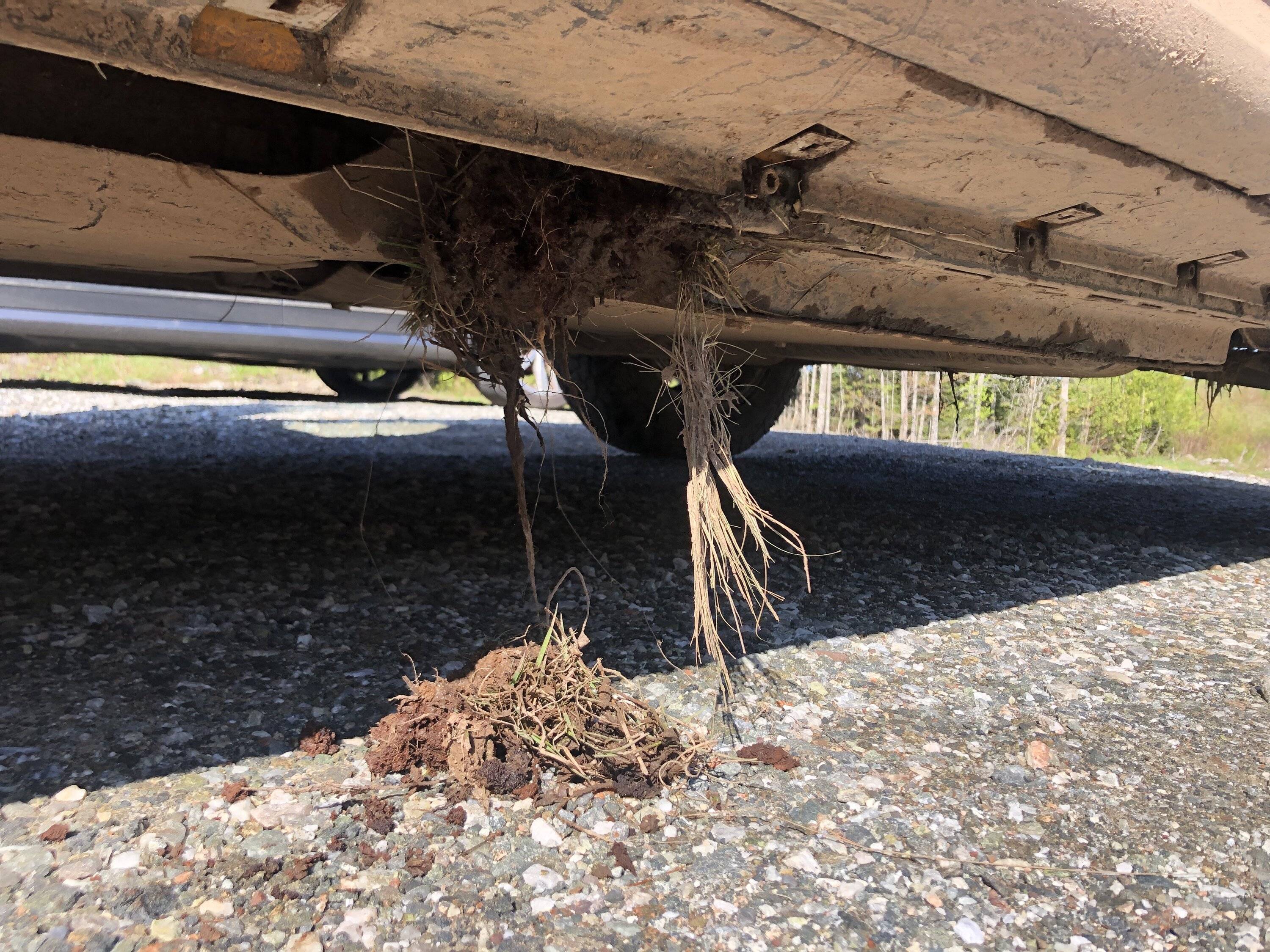Ford Bronco Sport Any full length under body armour? IMG_0593