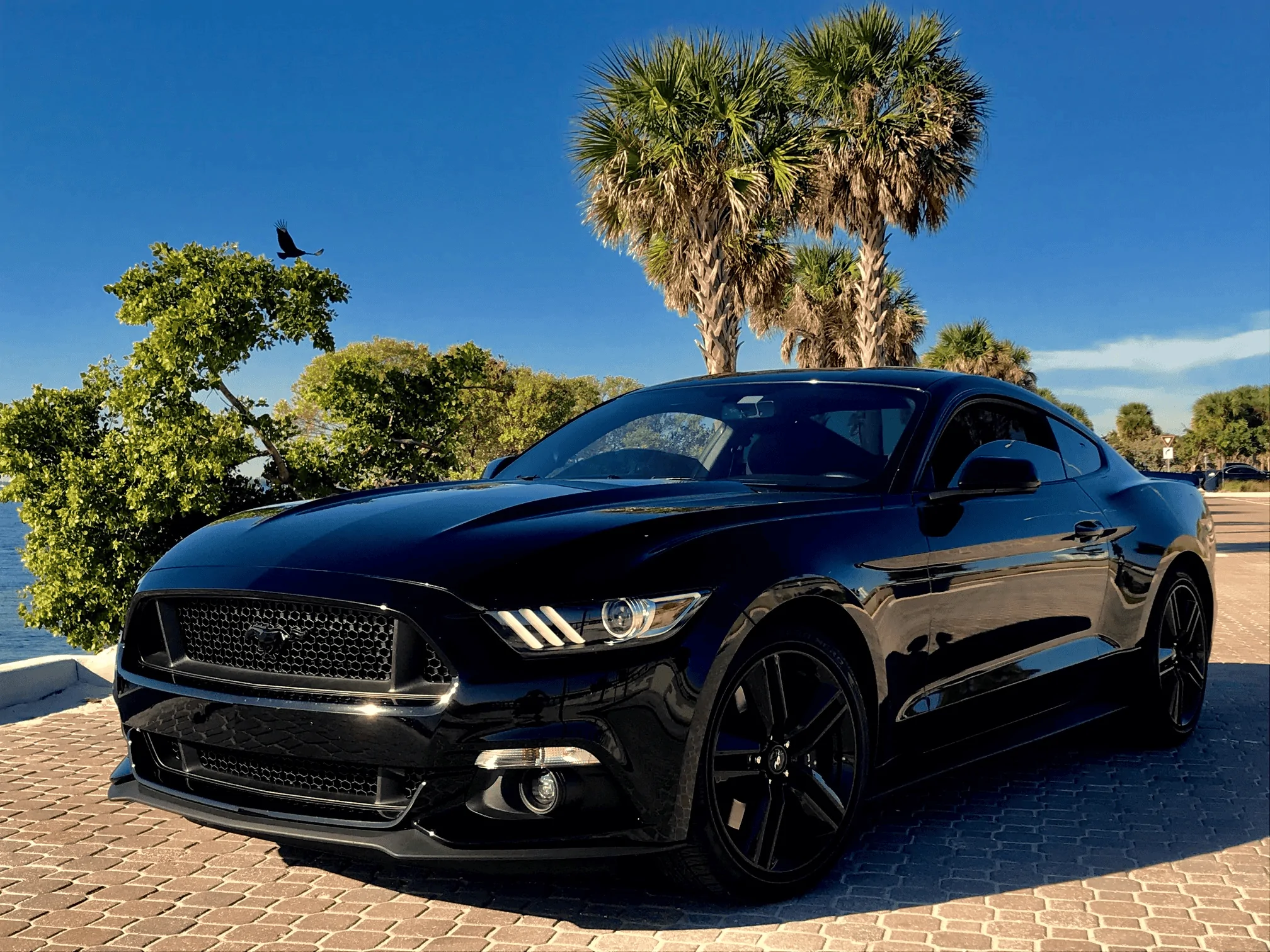 Ford Bronco Sport What did you own before your Bronco Sport? 1684934164497