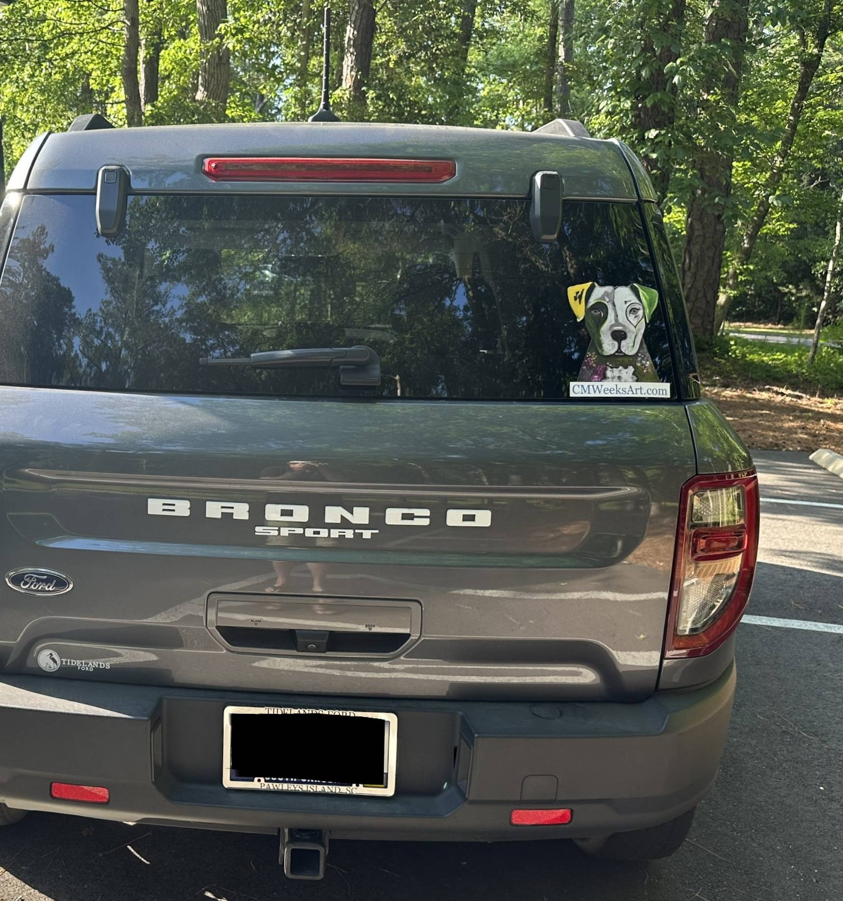 Ford Bronco Sport Let's see your rear or side window stickers! IMG_4700