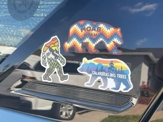 Ford Bronco Sport Let's see your rear or side window stickers! IMG_0175