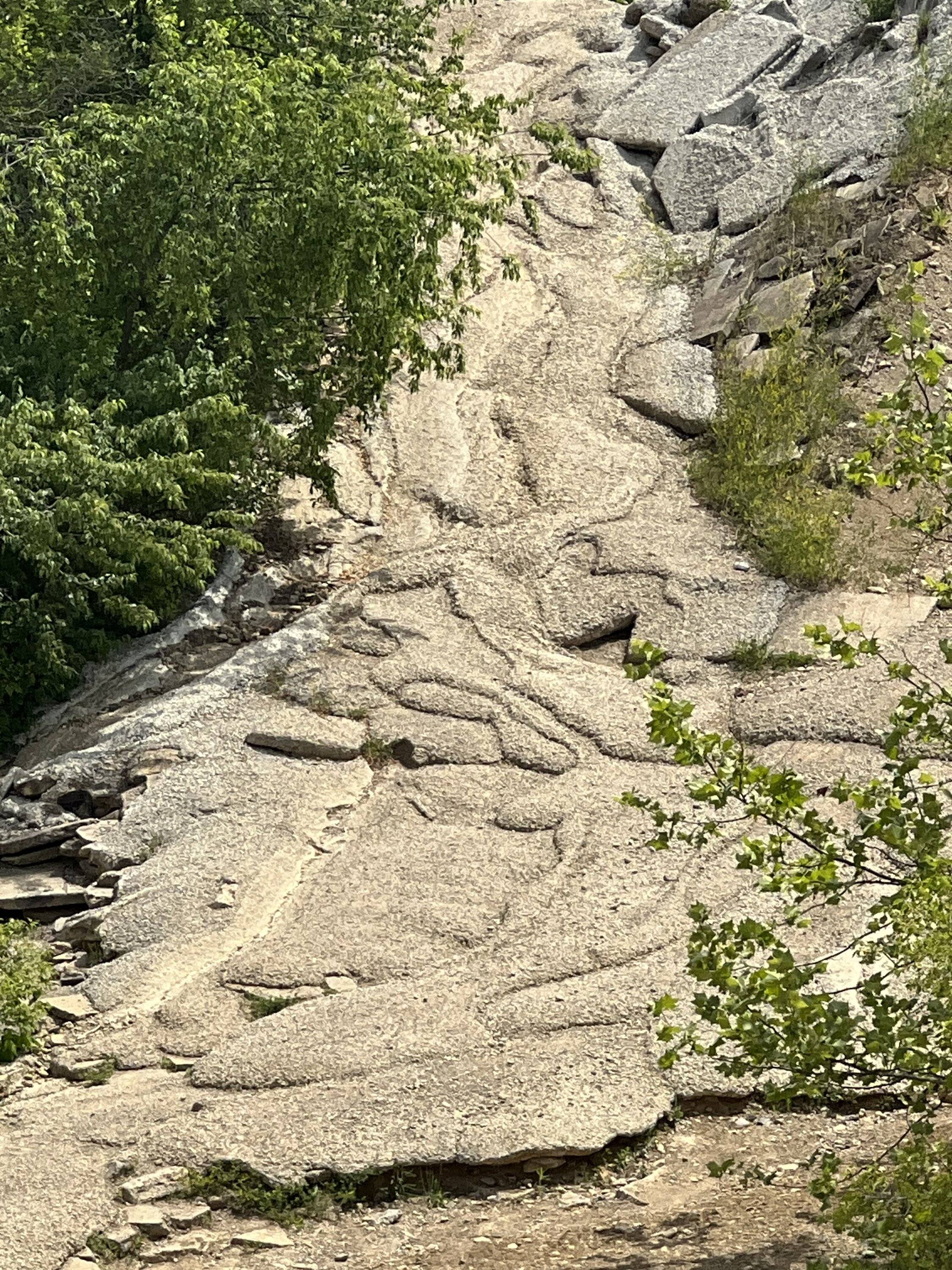 Ford Bronco Sport Badlands Off Road Park Attica, IN 70698750880__C4816EFB-C18A-4E1F-8E3E-0DDBFBF868AA