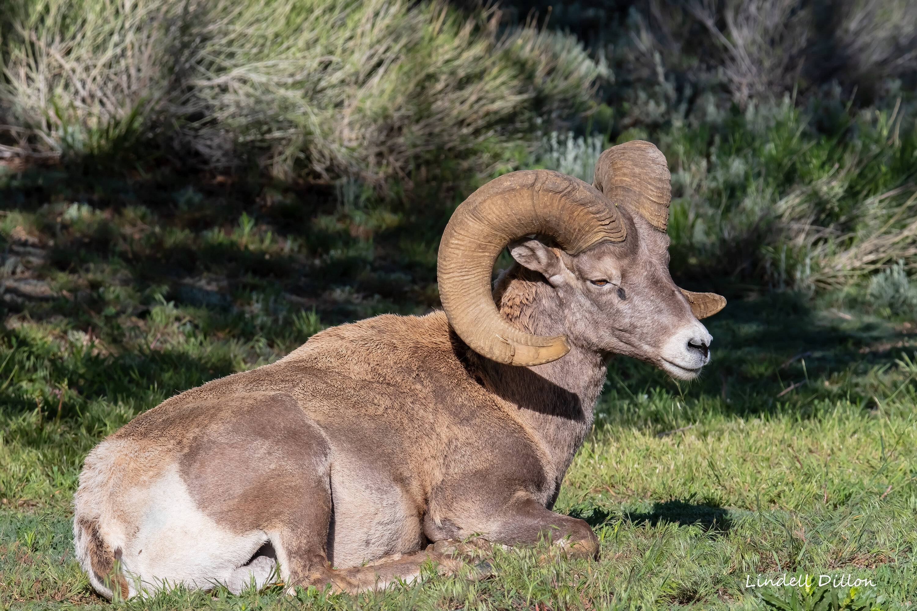 Ford Bronco Sport Post the best photos you've got of your Bronco Sport Taos 121