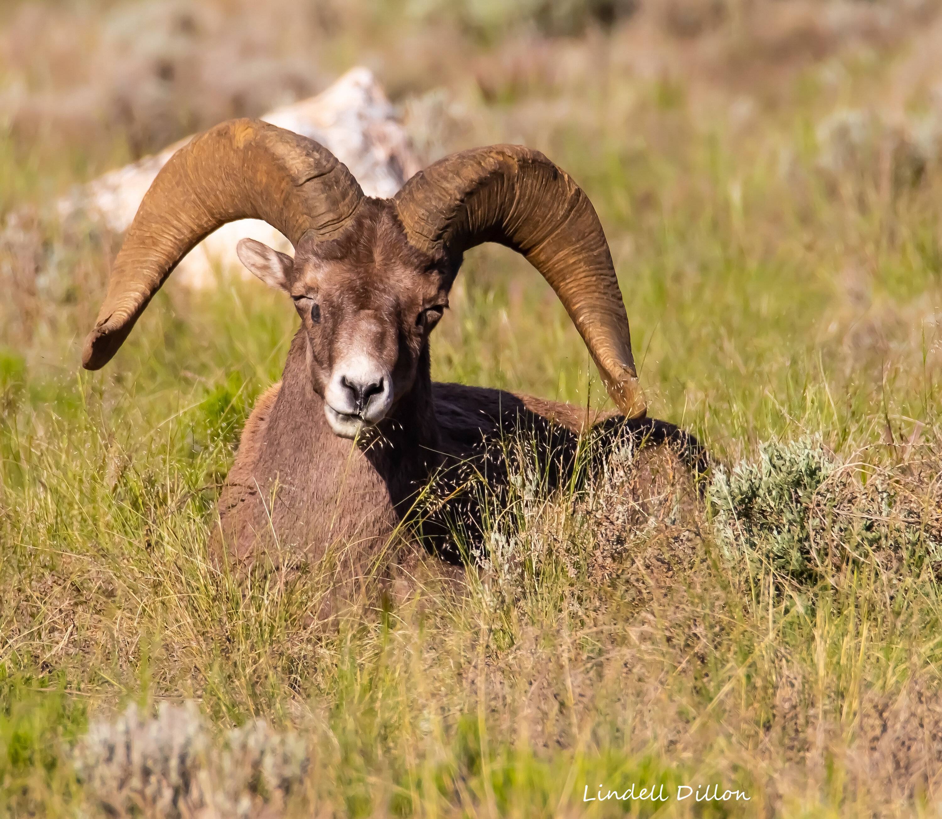 Ford Bronco Sport Post the best photos you've got of your Bronco Sport Taos 137