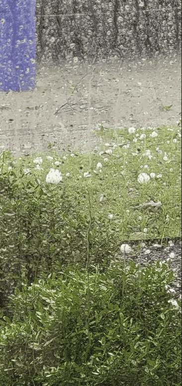Ford Bronco Sport Dents Everywhere From First North Texas Hail Storm 1686008097772