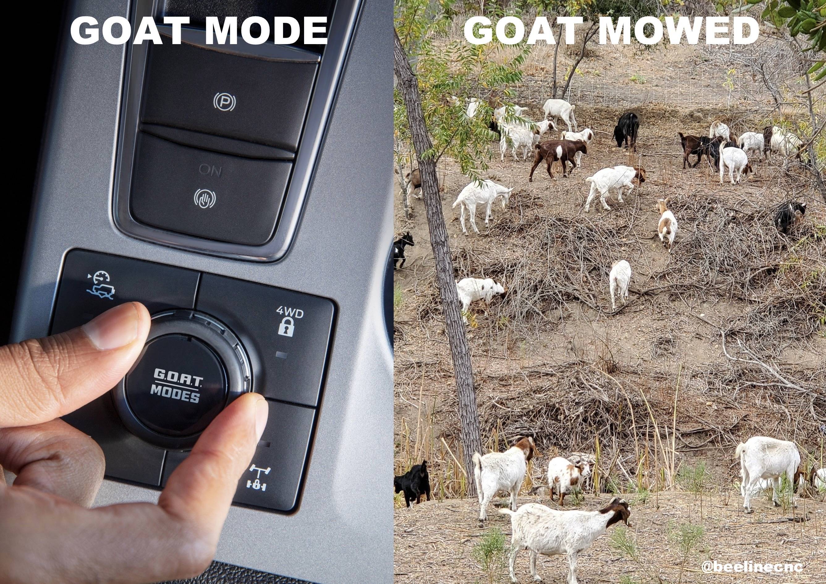 Ford Bronco Sport Goat Mode: Dad Joke Edition Ima