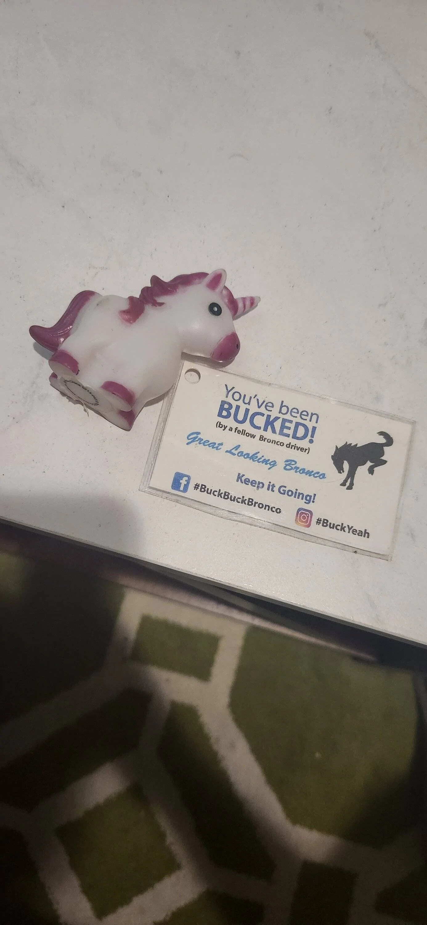 Ford Bronco Sport Jeeps use ducks; what do Bronco Sports use? 20230607_213937