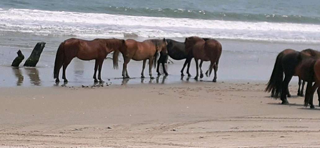 Ford Bronco Sport My Bronco Found Its Brethren media-1686233500037-Jun_8_2023_10_10_AM