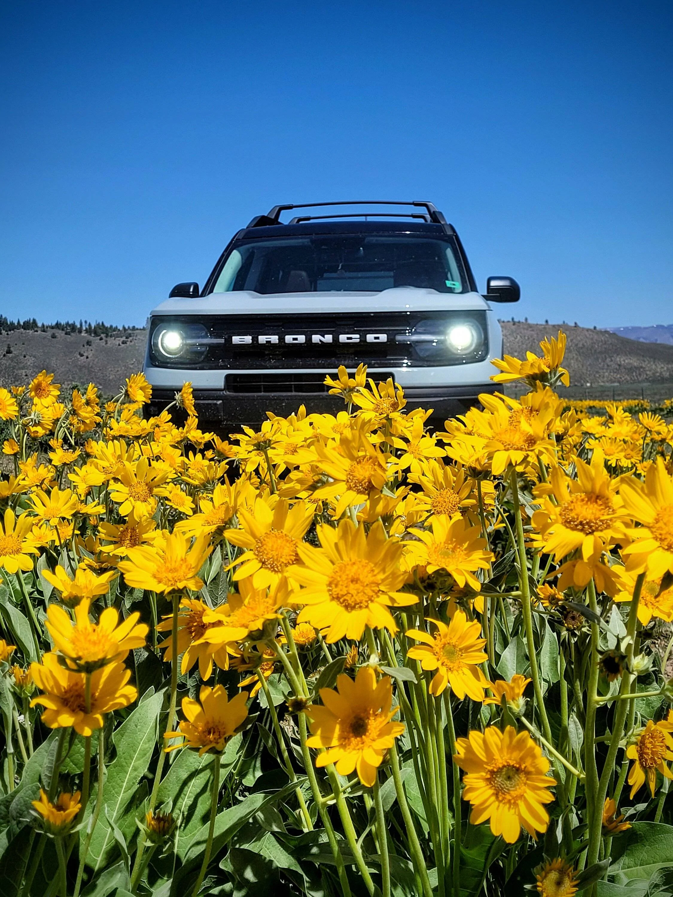 Ford Bronco Sport Post the best photos you've got of your Bronco Sport 20230602_112106~2