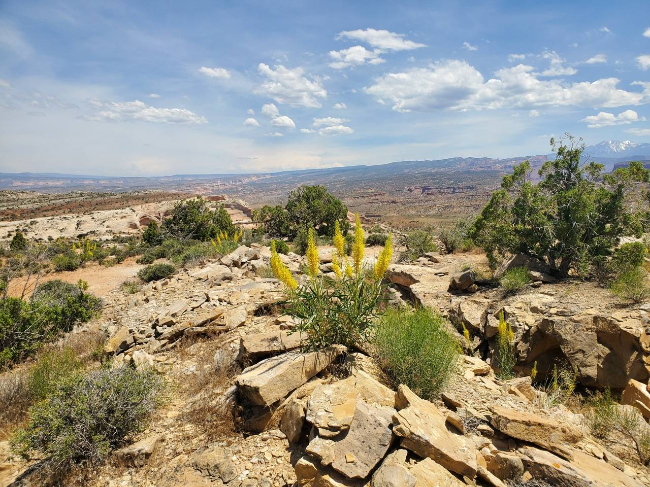 Ford Bronco Sport Moab Off-Roadeo 20230609_141631