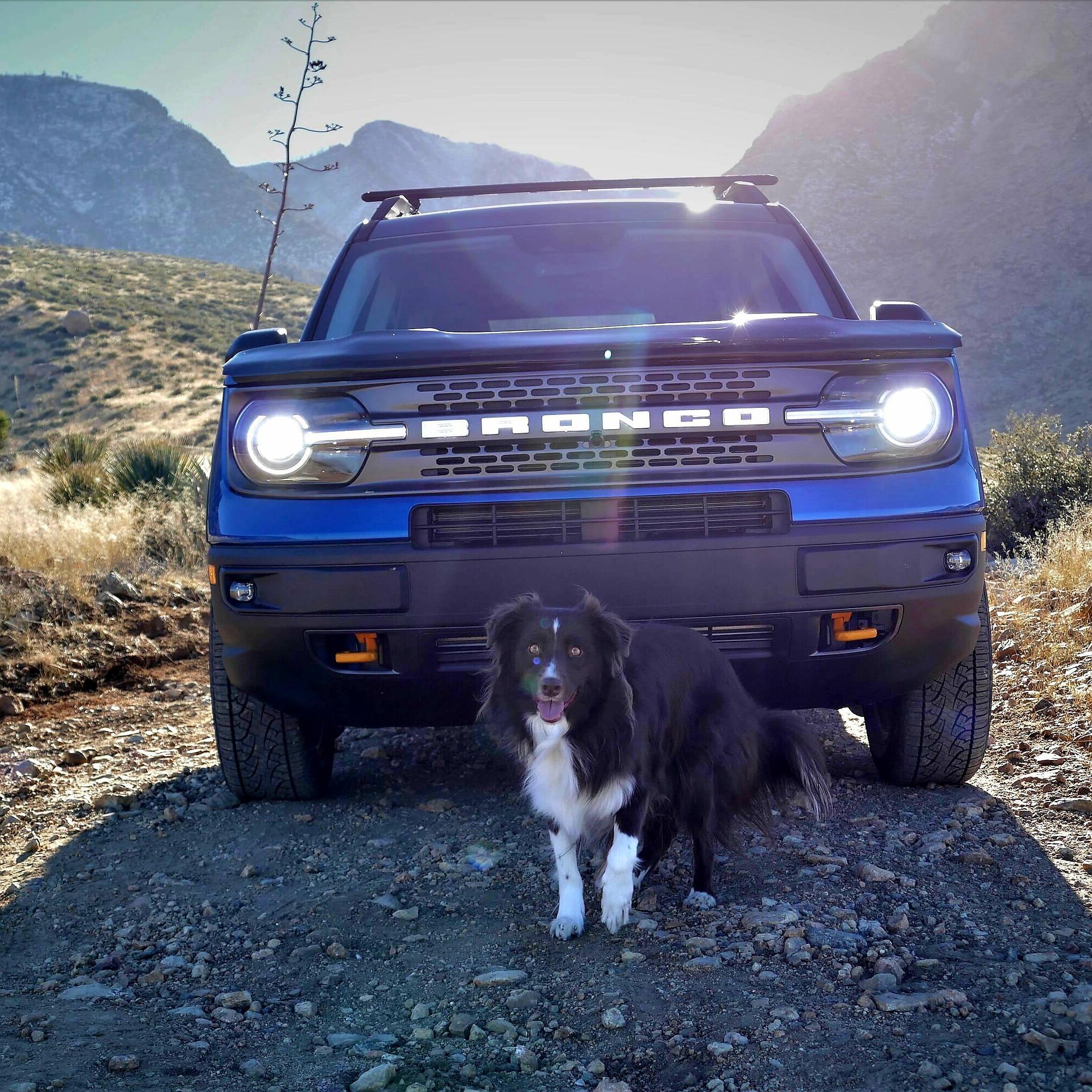 Ford Bronco Sport Show me your dogs!! IMG_20221229_195447_147