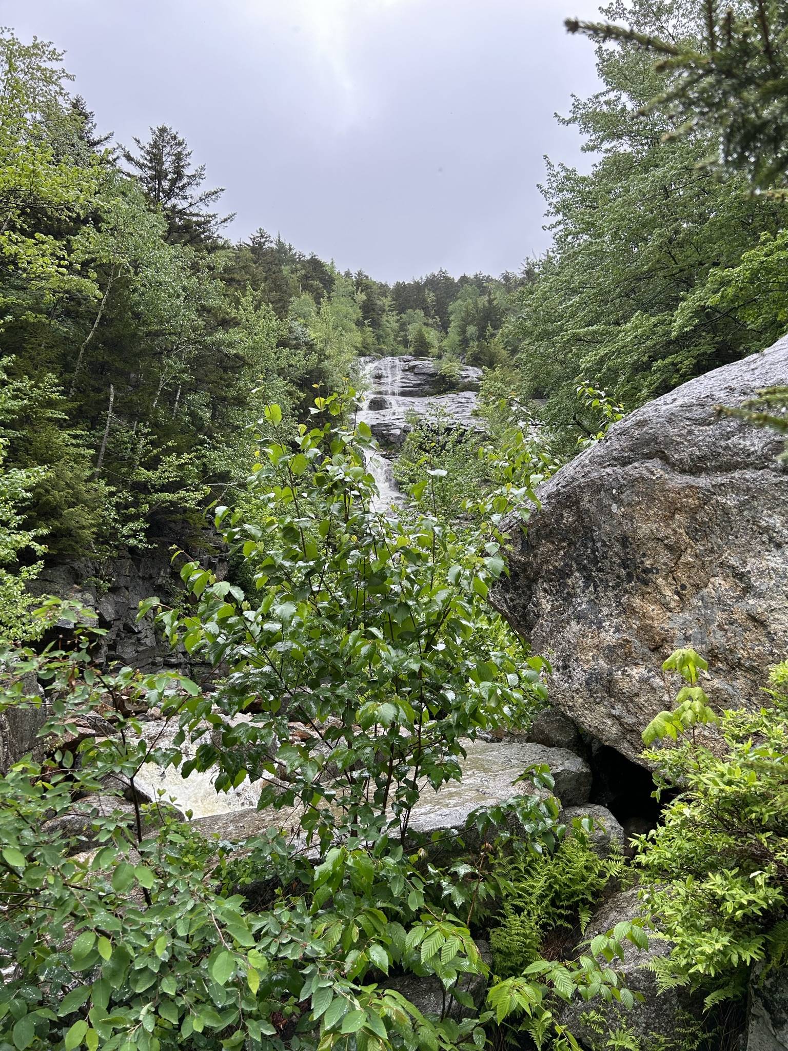 Ford Bronco Sport Gunstock Mountain, New Hampshire, Off Roadeo IMG_0349.JPEG