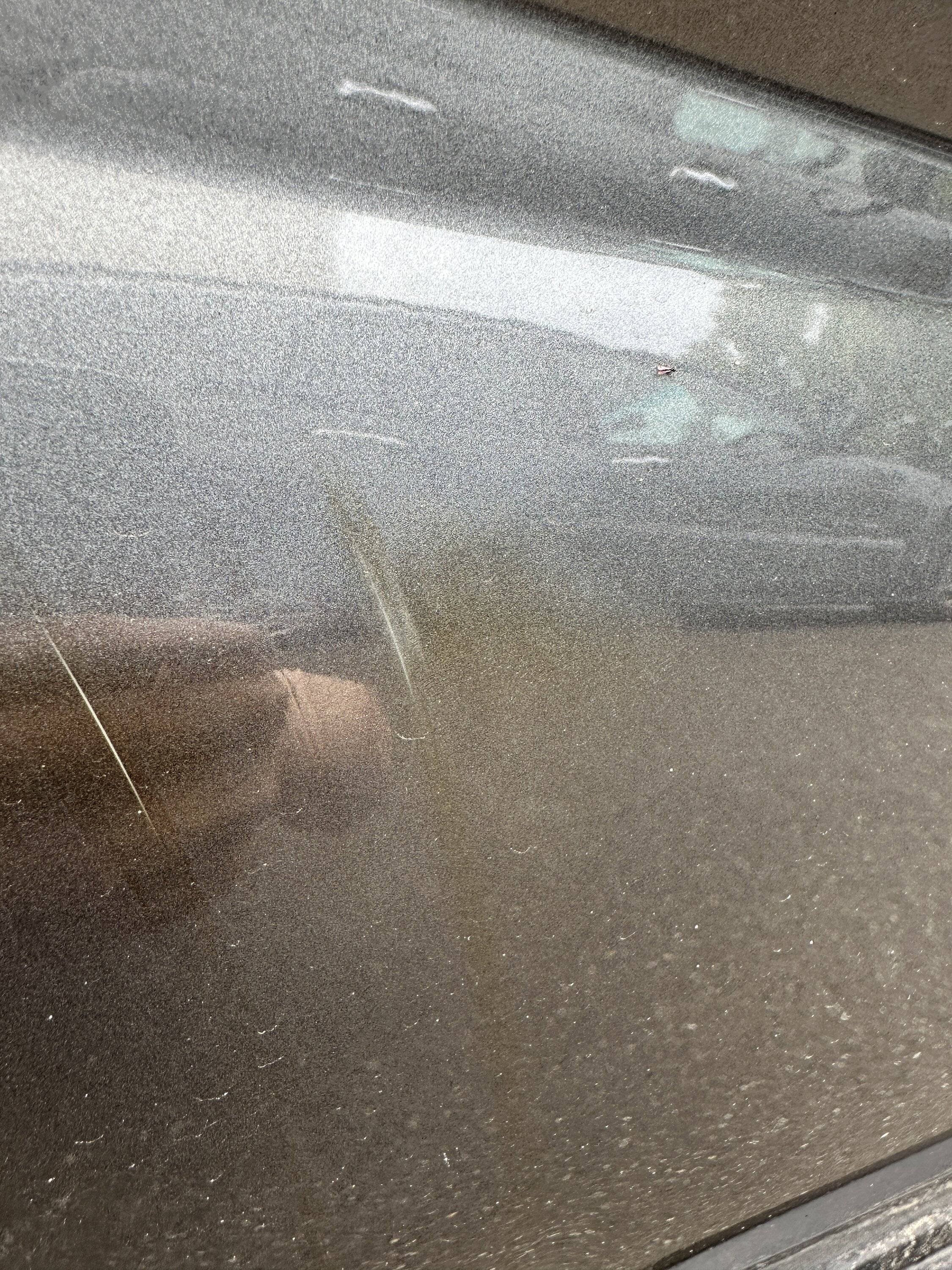 Ford Bronco Sport Scuff marks on door - how to remove? IMG_7778