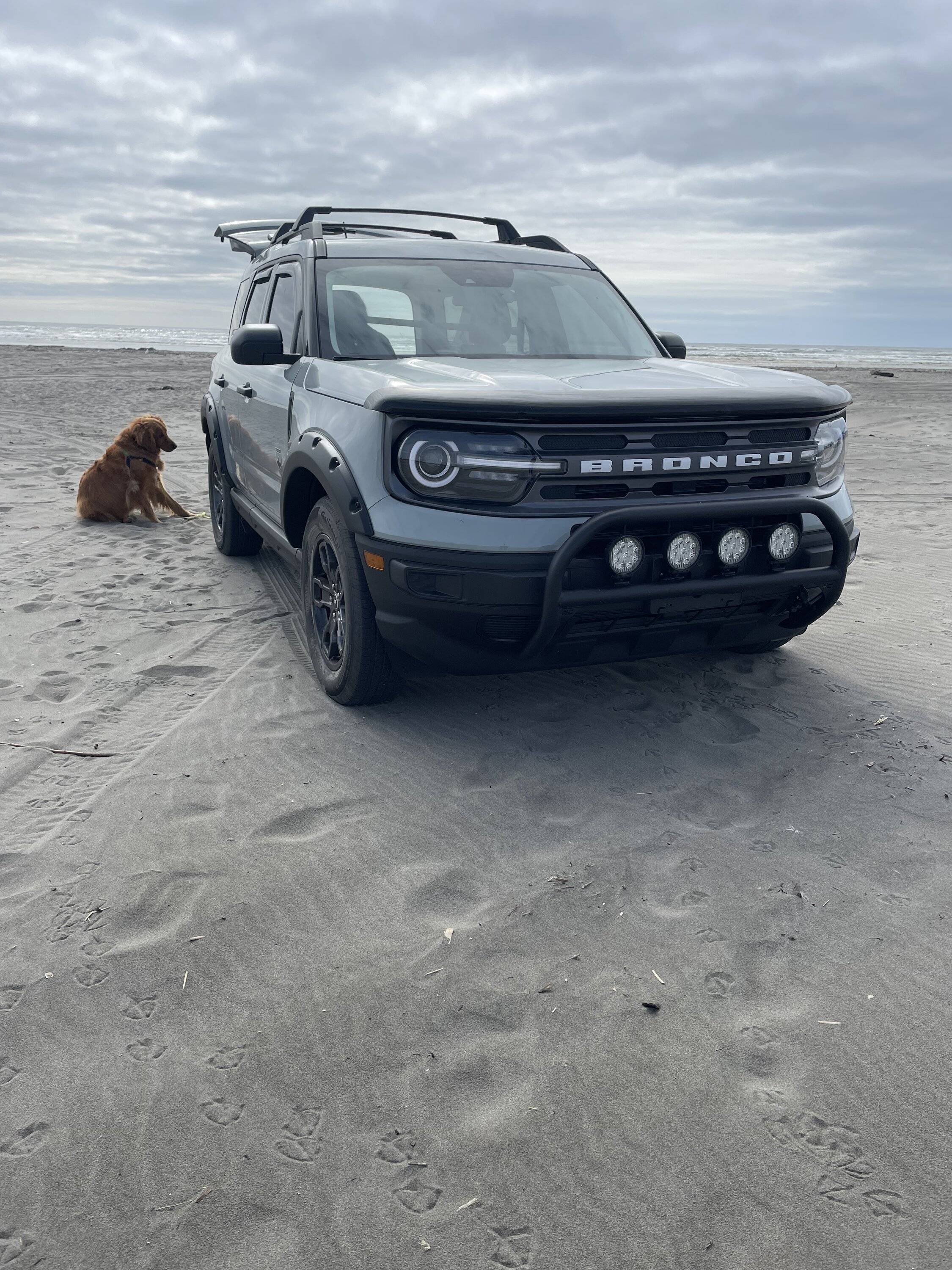 Ford Bronco Sport Officially took her through some sand 76874226-2AAF-446C-B873-2C6F5AF158A3
