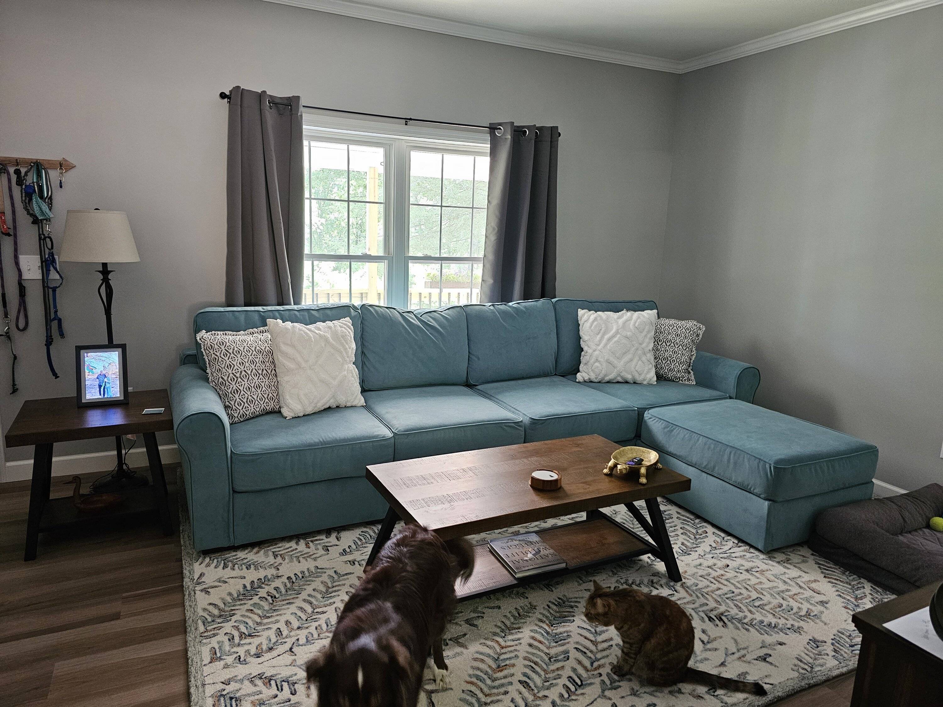 Ford Bronco Sport Color for emblems on Cactus Gray? 20230603_113510