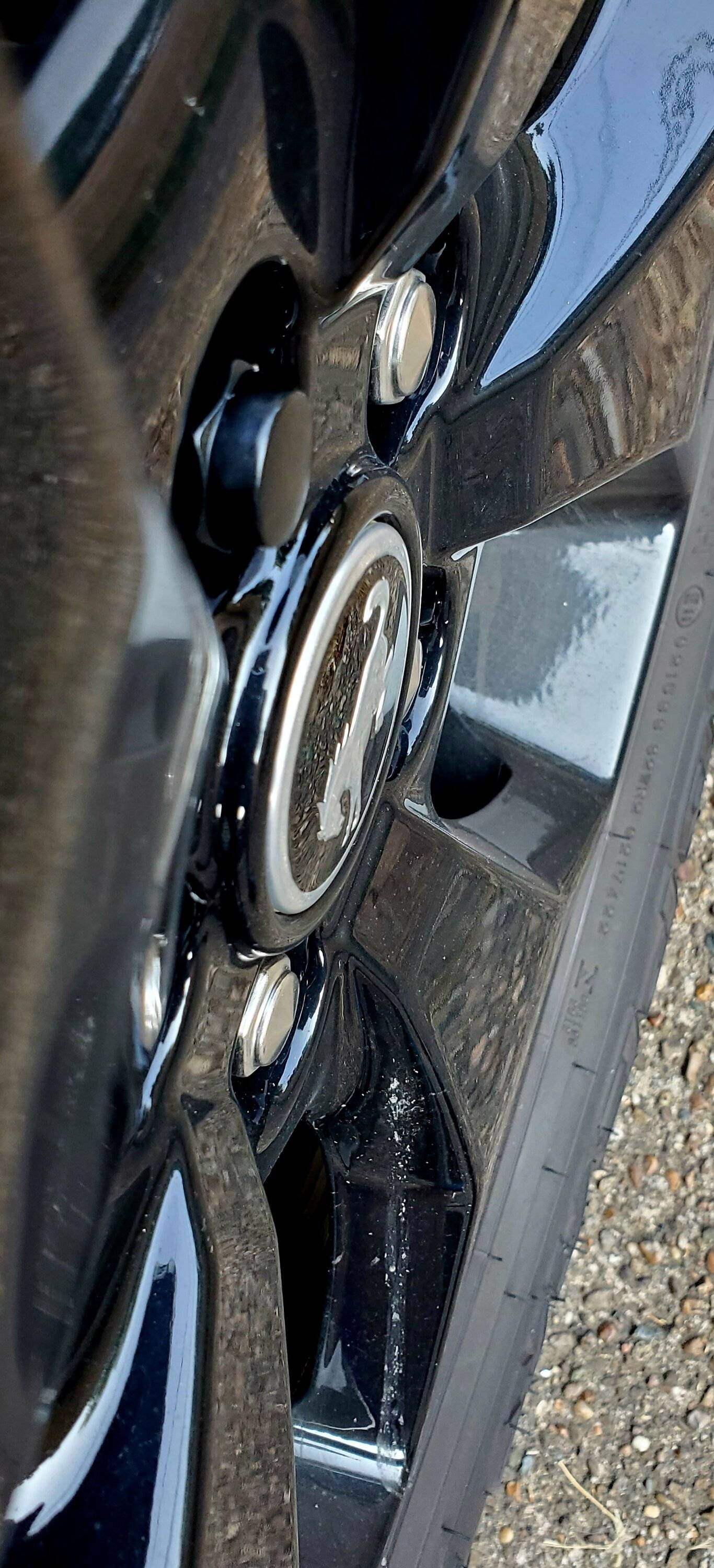 Ford Bronco Sport What did you do TO your Bronco Sport today? 20230617_181903