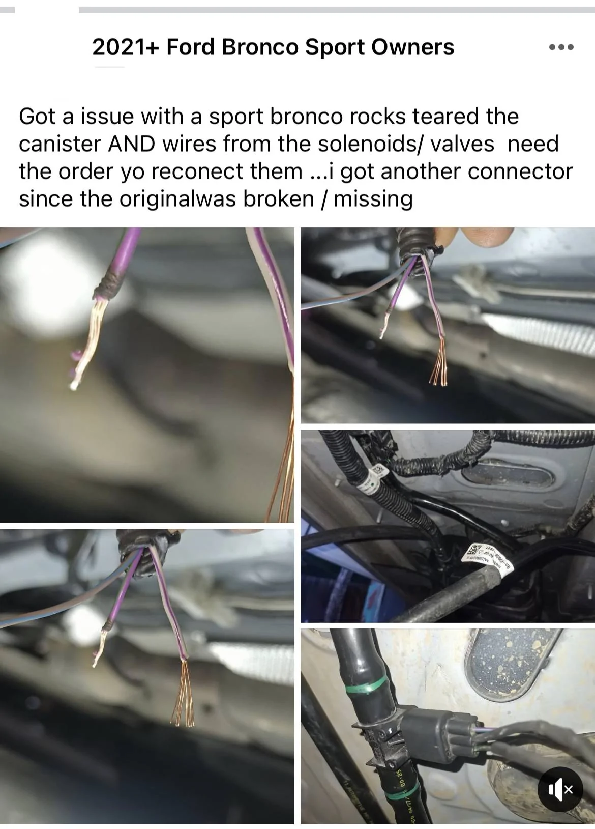 Ford Bronco Sport Canister destroyed AND cables teared from valves / solenod 1687274002644