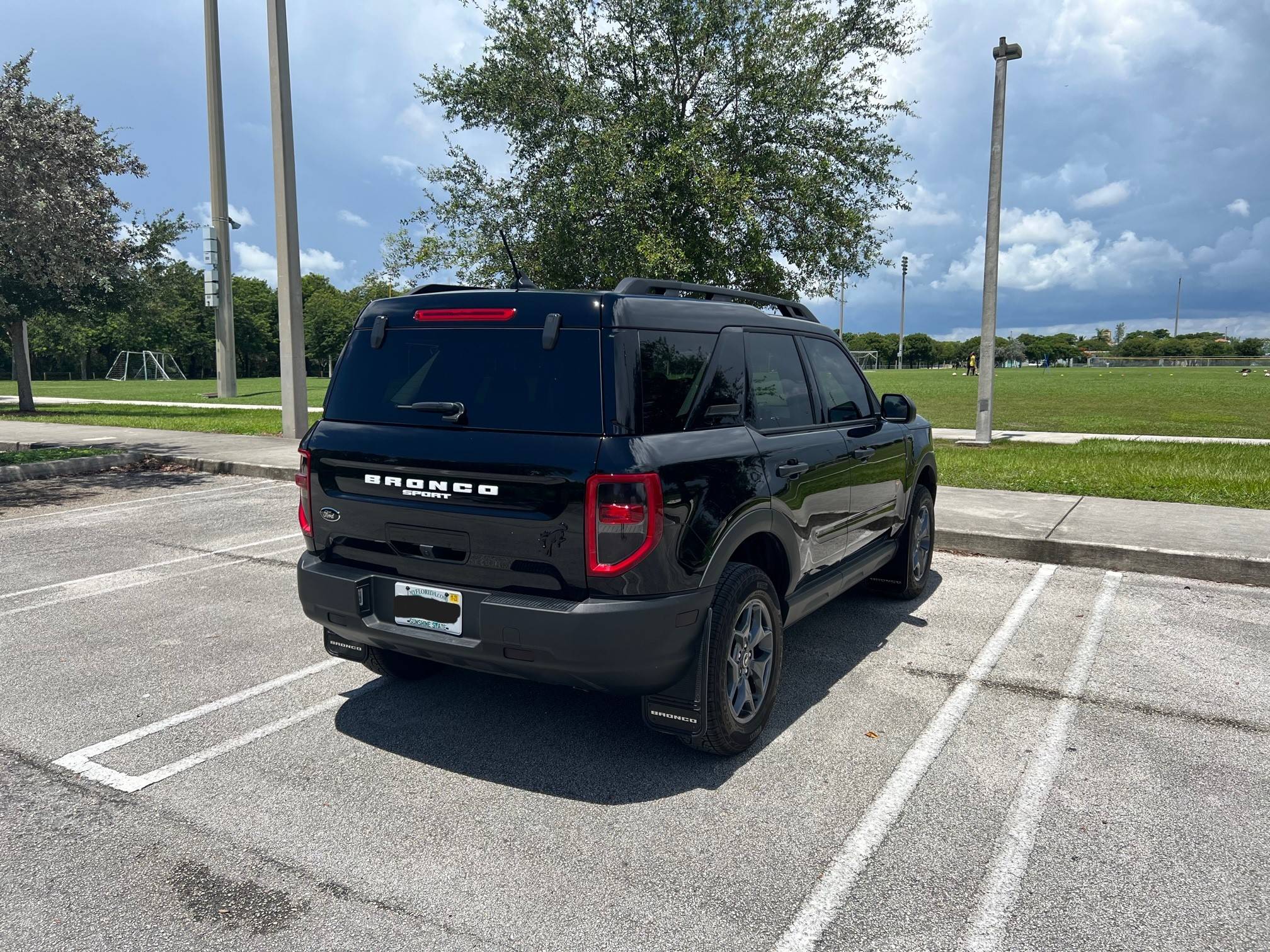 Ford Bronco Sport Introducing..."The Swamp Ape" IMG_4591
