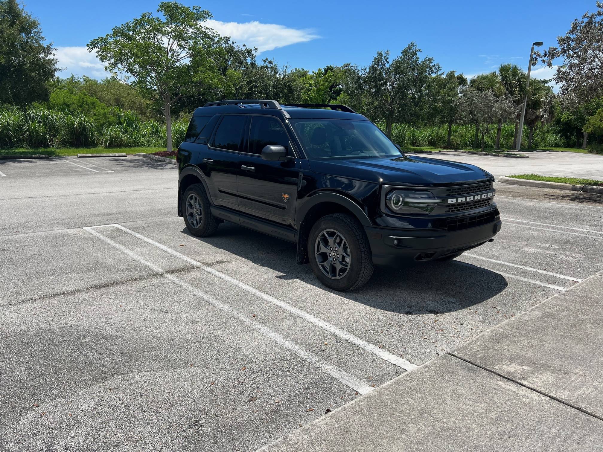Ford Bronco Sport Introducing..."The Swamp Ape" IMG_4588