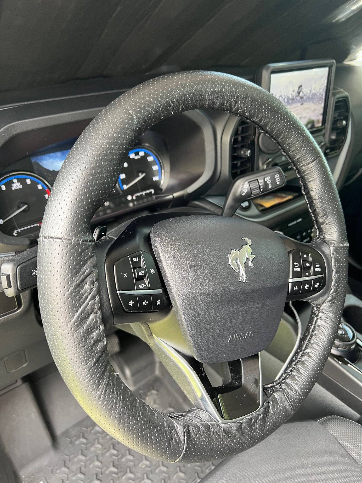 Ford Bronco Sport Introducing..."The Swamp Ape" IMG_4593