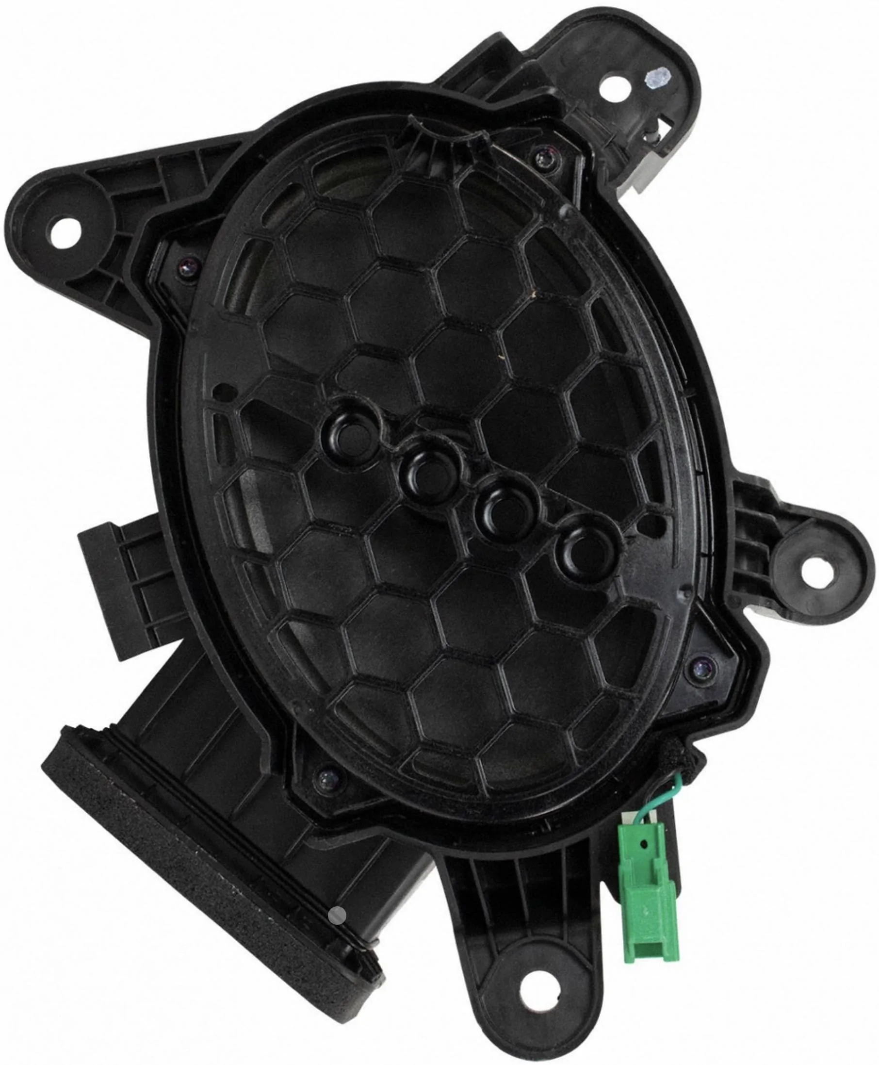 Ford Bronco Sport Olive - Meanderthal’s BS BL 1687915707602