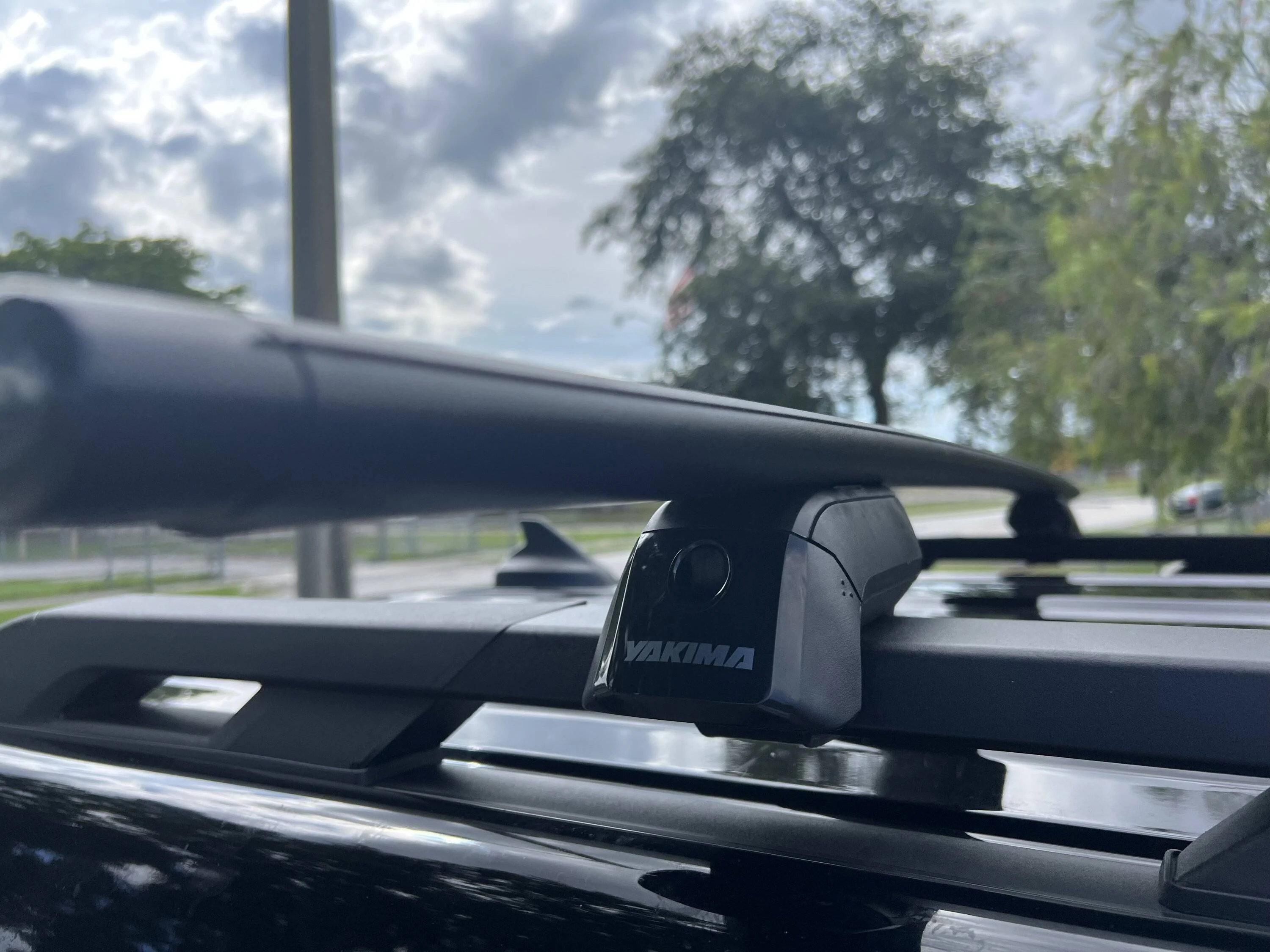 Ford Bronco Sport Introducing..."The Swamp Ape" IMG_4606