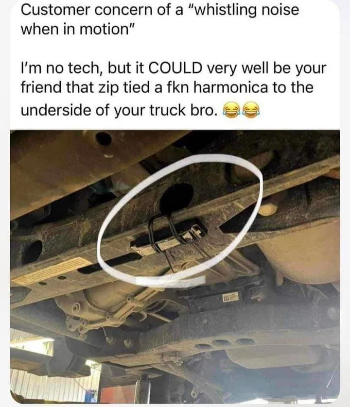 Ford Bronco Sport Finally found answer to Whale sound 357542389_10231011867215276_1936602391698335934_n