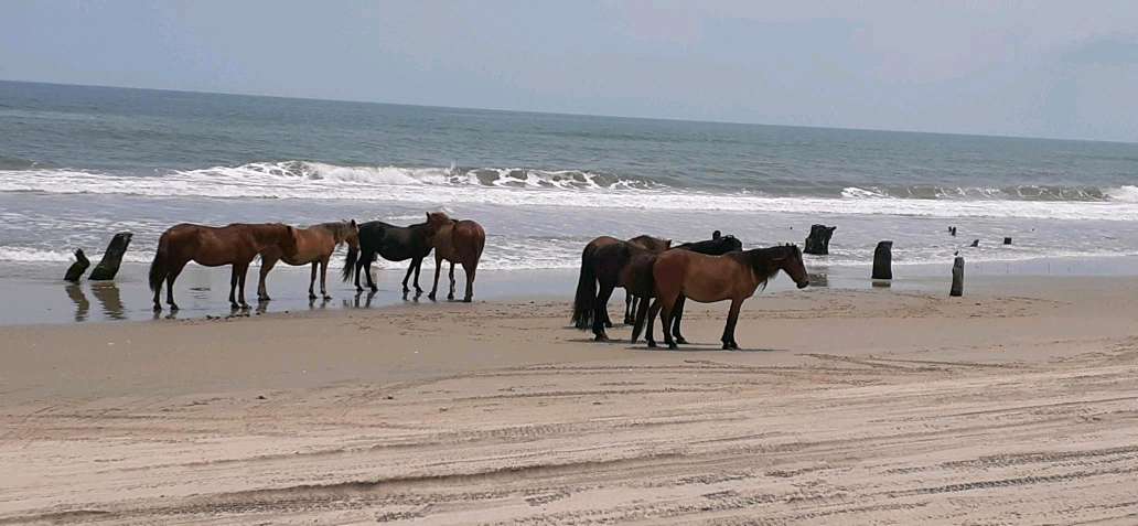Ford Bronco Sport Where have you taken your Bronco Sport? media-1686233513200-Jun_8_2023_10_10_AM