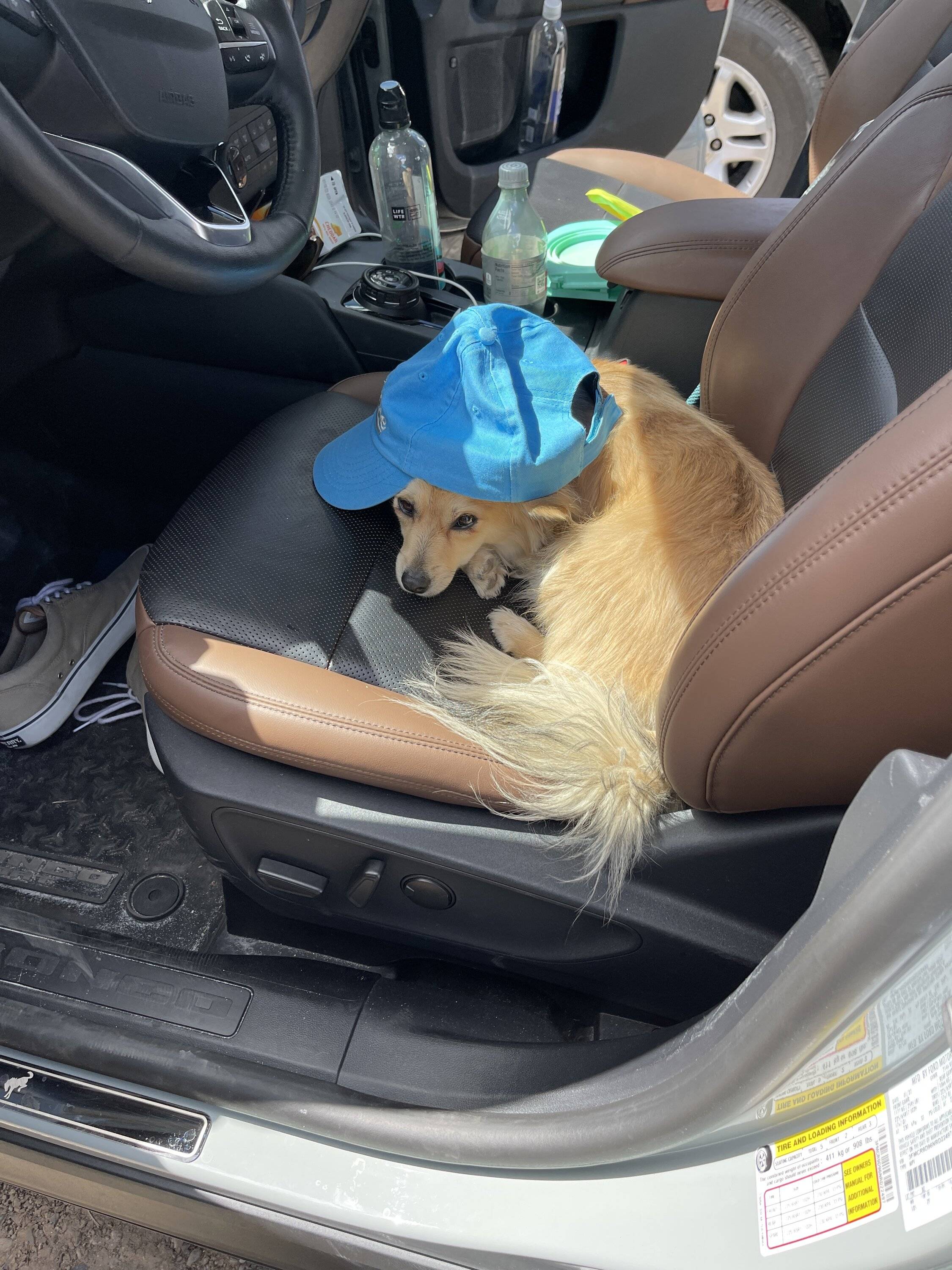 Ford Bronco Sport Cross Country Road Trip - Bronco Sport Review, MPG, Pictures IMG_1765