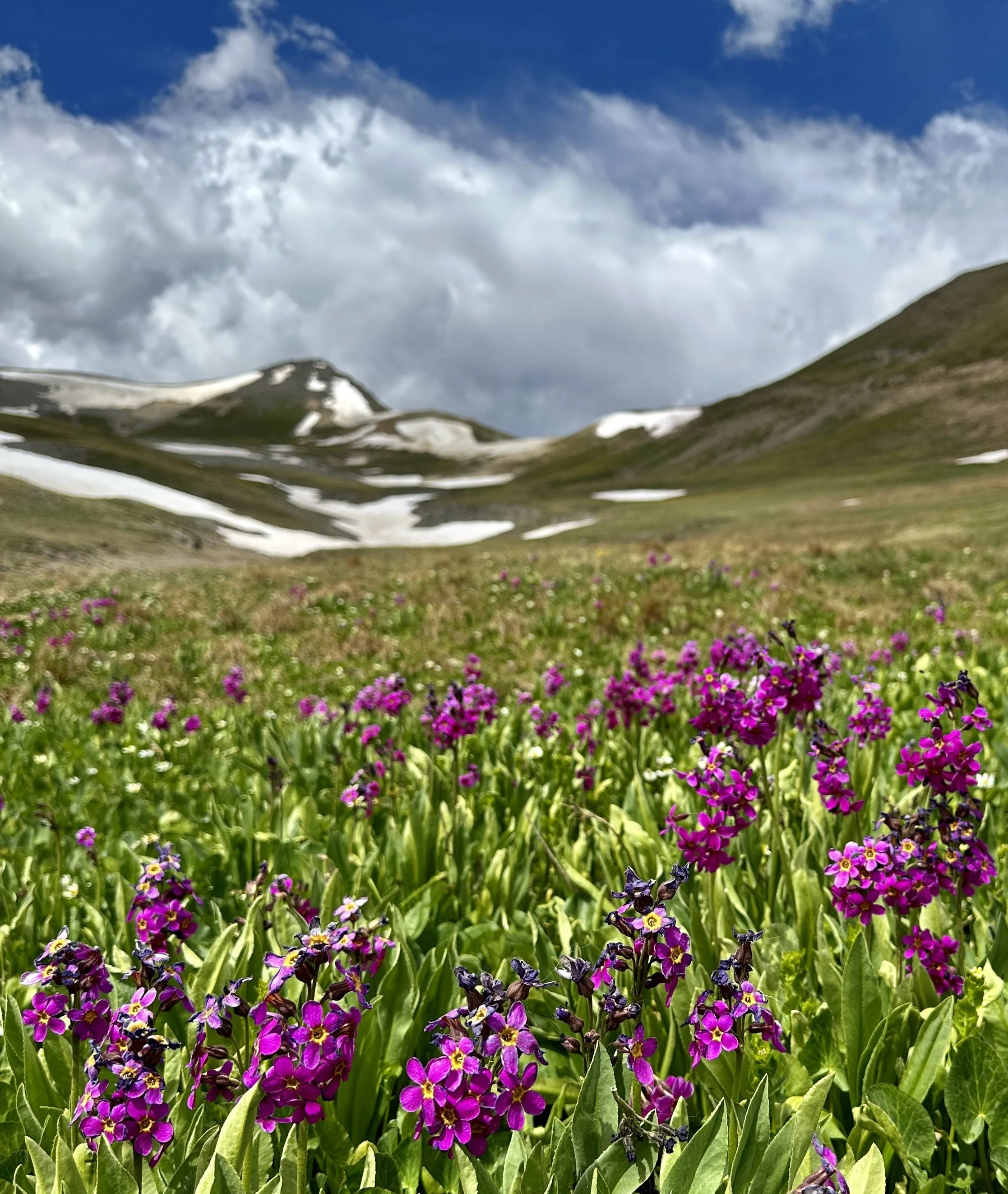 Ford Bronco Sport Completed Engineer Pass Road in CO with Bronco Sport Badlands IMG_5571