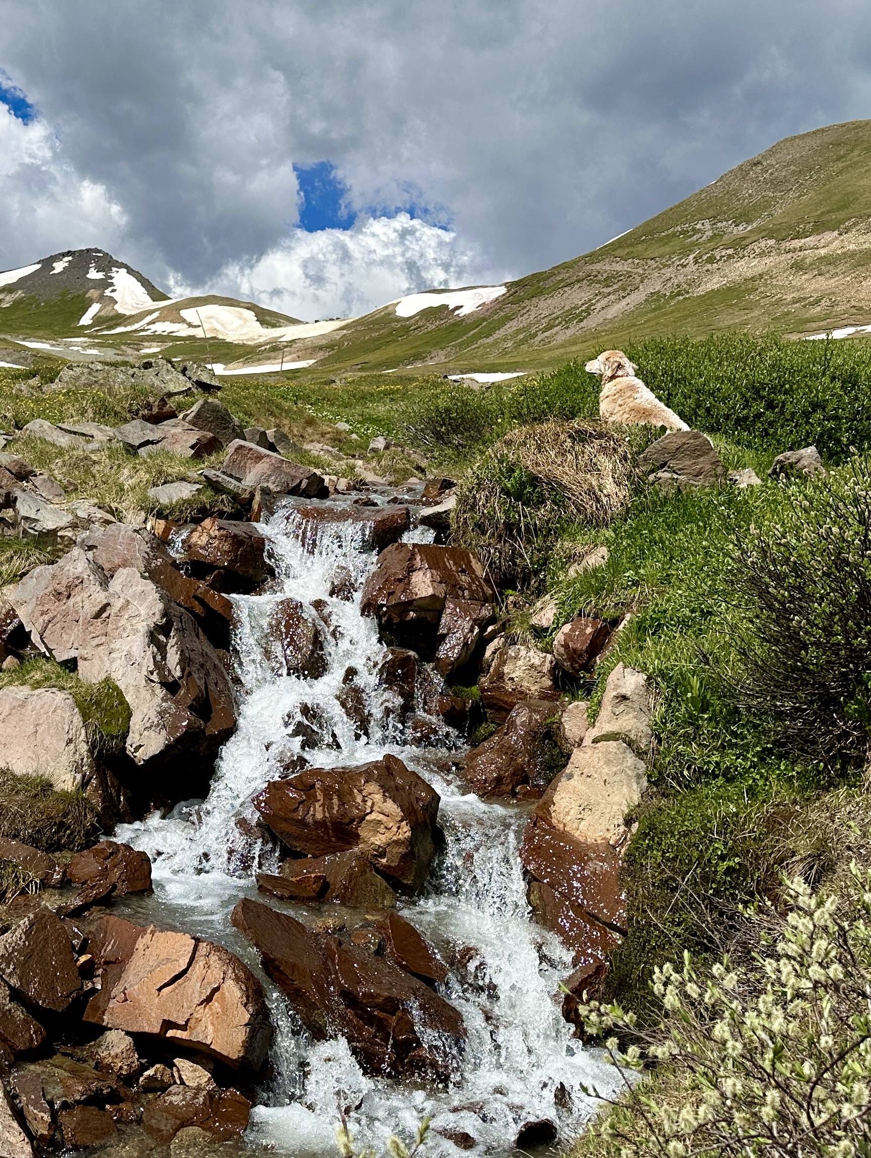 Ford Bronco Sport Completed Engineer Pass Road in CO with Bronco Sport Badlands IMG_5610