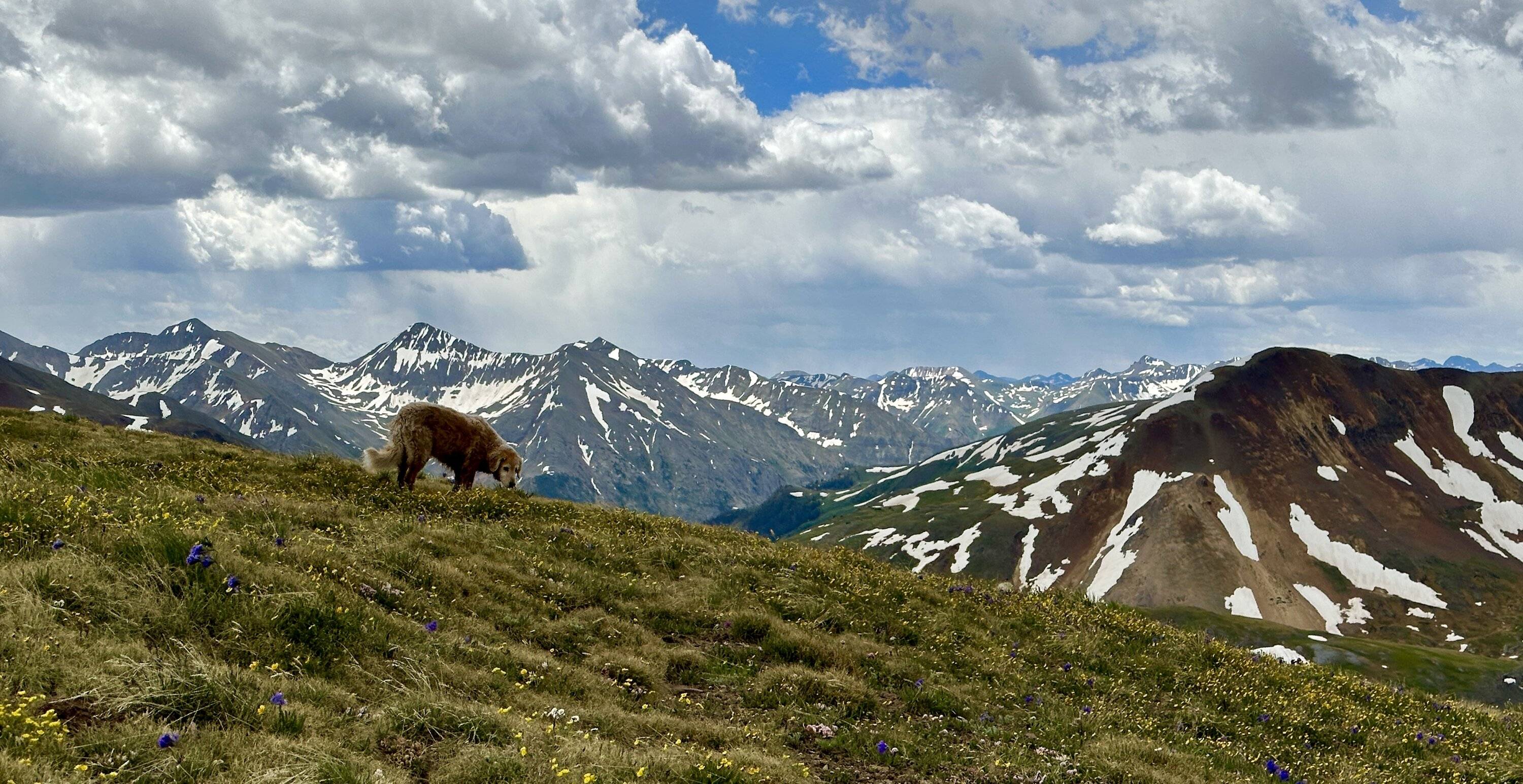 Ford Bronco Sport Completed Engineer Pass Road in CO with Bronco Sport Badlands IMG_5678