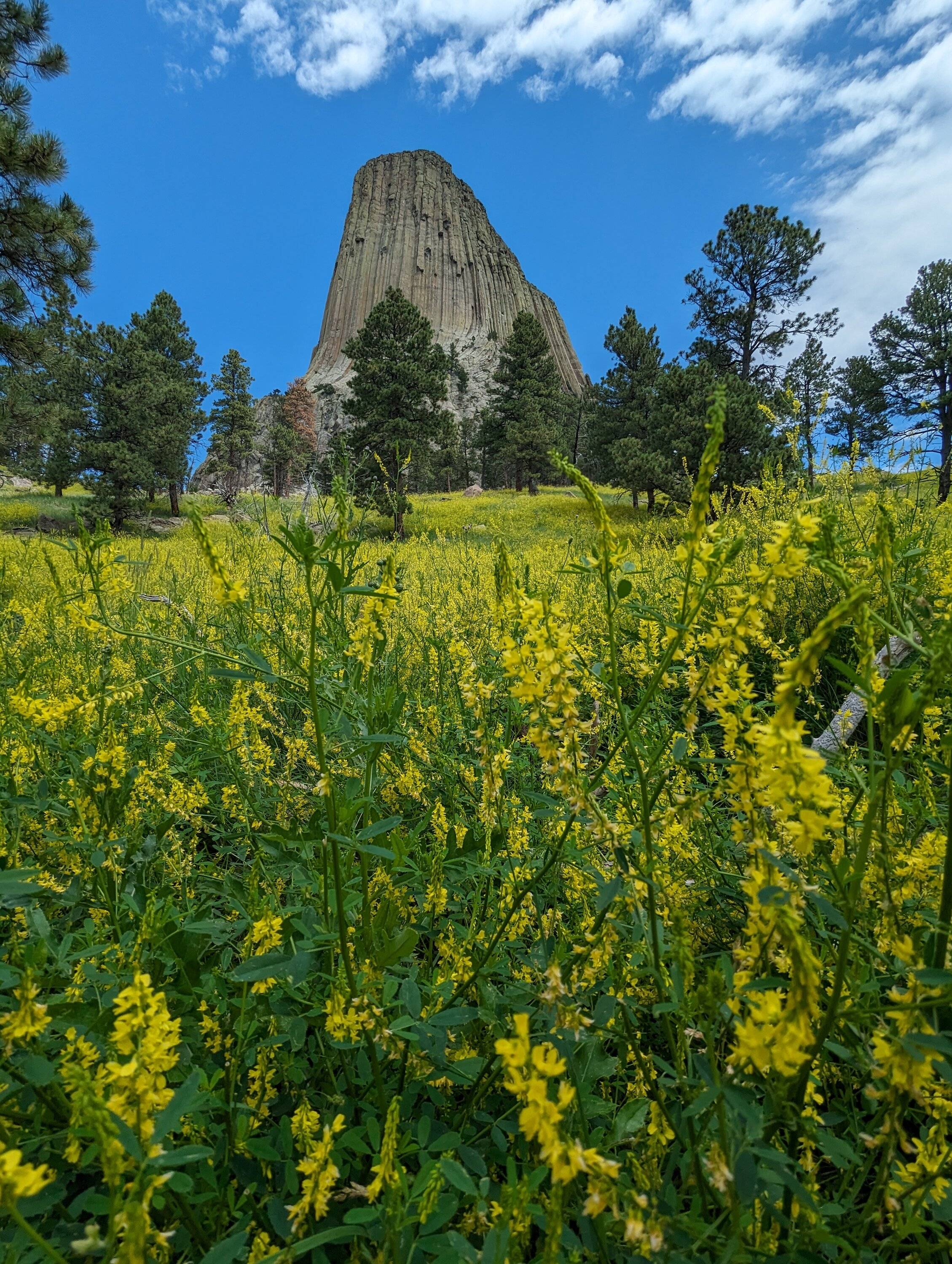 Ford Bronco Sport Made it. From Great Lakes to Badlands national park with the Bronco Sport Badlands PXL_20230713_183011215