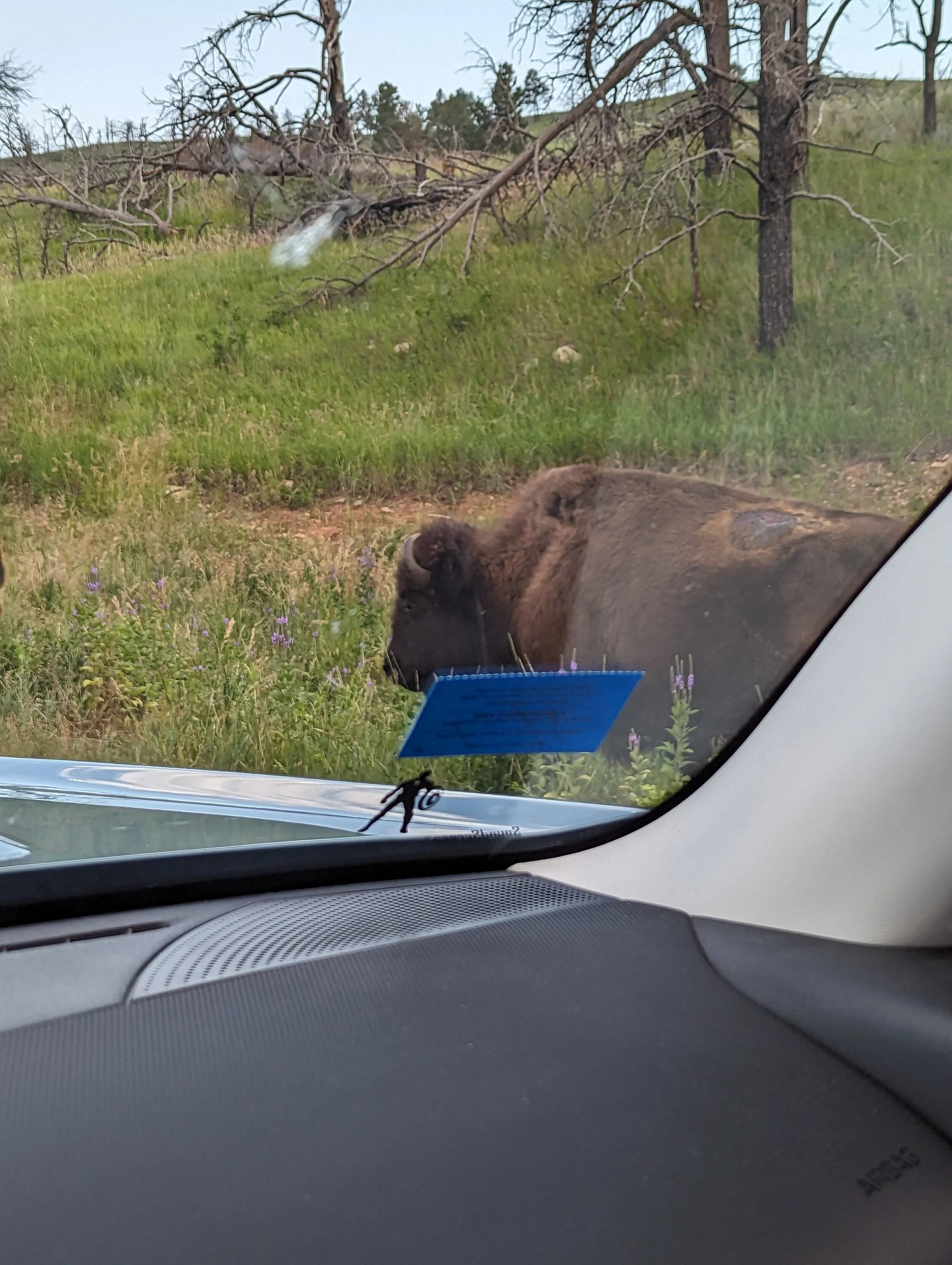 Ford Bronco Sport Made it. From Great Lakes to Badlands national park with the Bronco Sport Badlands PXL_20230711_234329706