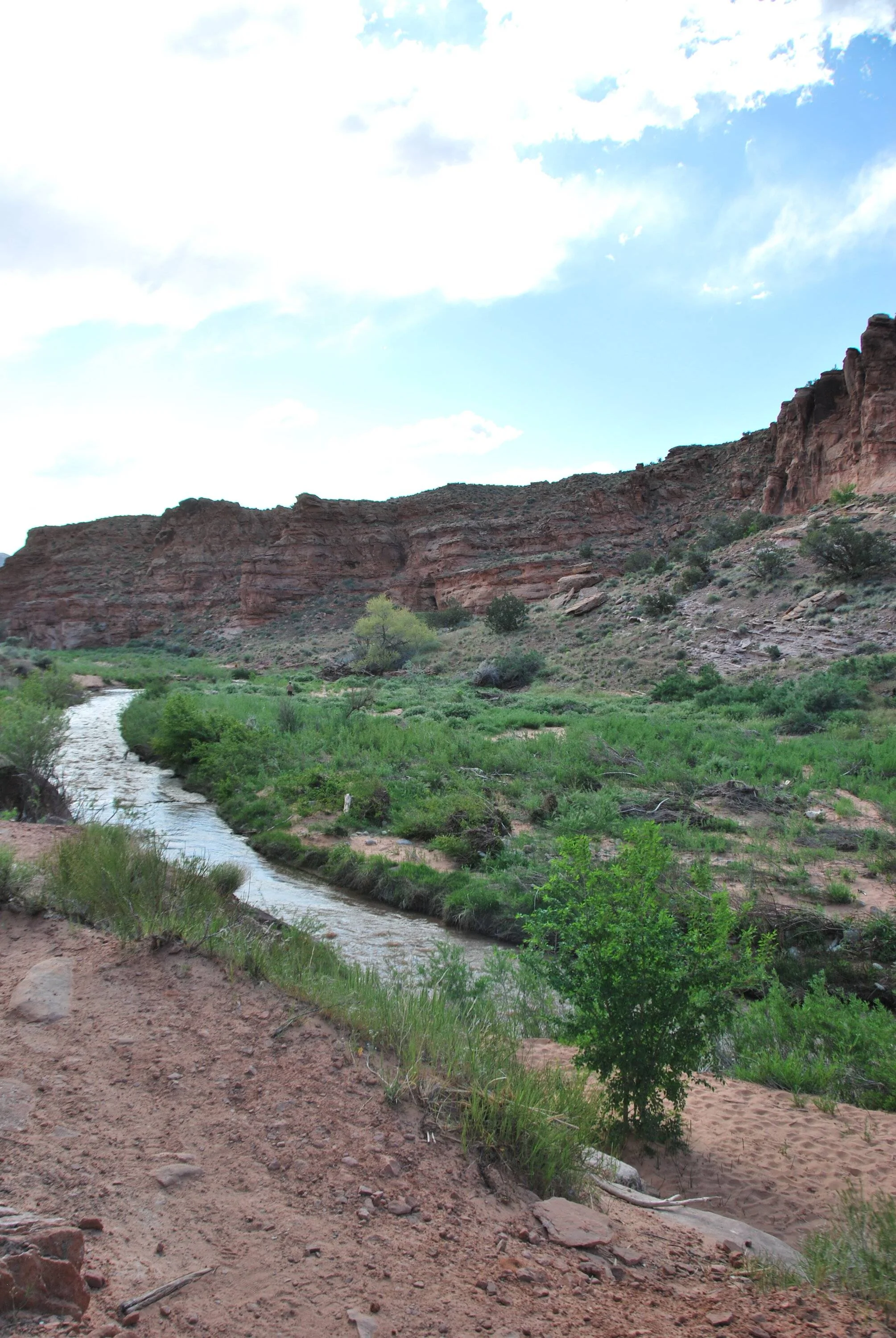 Ford Bronco Sport Introducing myself DSC_0225