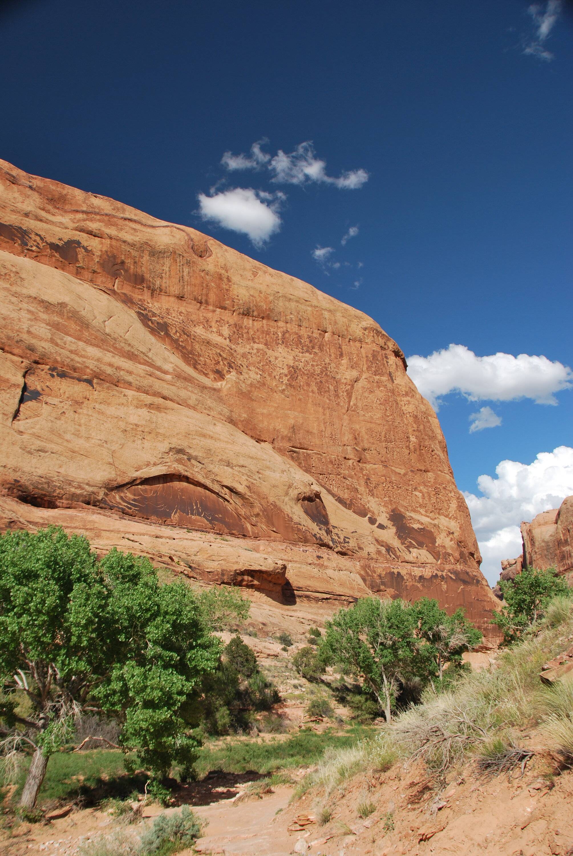 Ford Bronco Sport Introducing myself DSC_0231.JPG