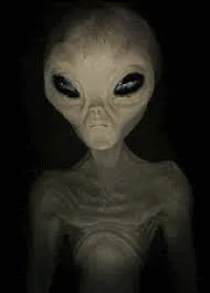 Ford Bronco Sport Made it. From Great Lakes to Badlands national park with the Bronco Sport Badlands images