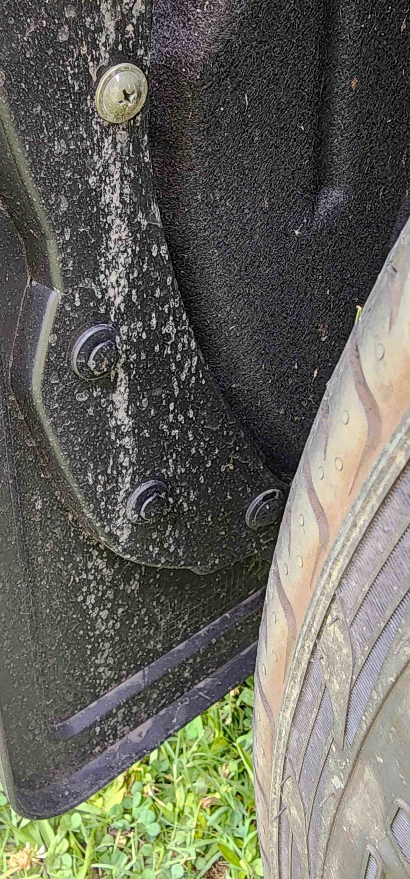 Ford Bronco Sport Who makes the best small front mud guards? Front mud flap 003