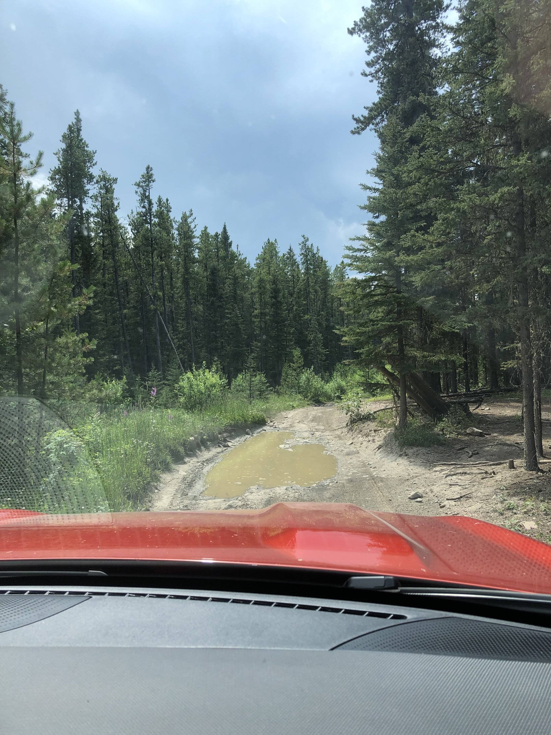 Ford Bronco Sport McLean Creek shenanigans (Bronco Sport shouldn’t be able to do this) IMG_6512