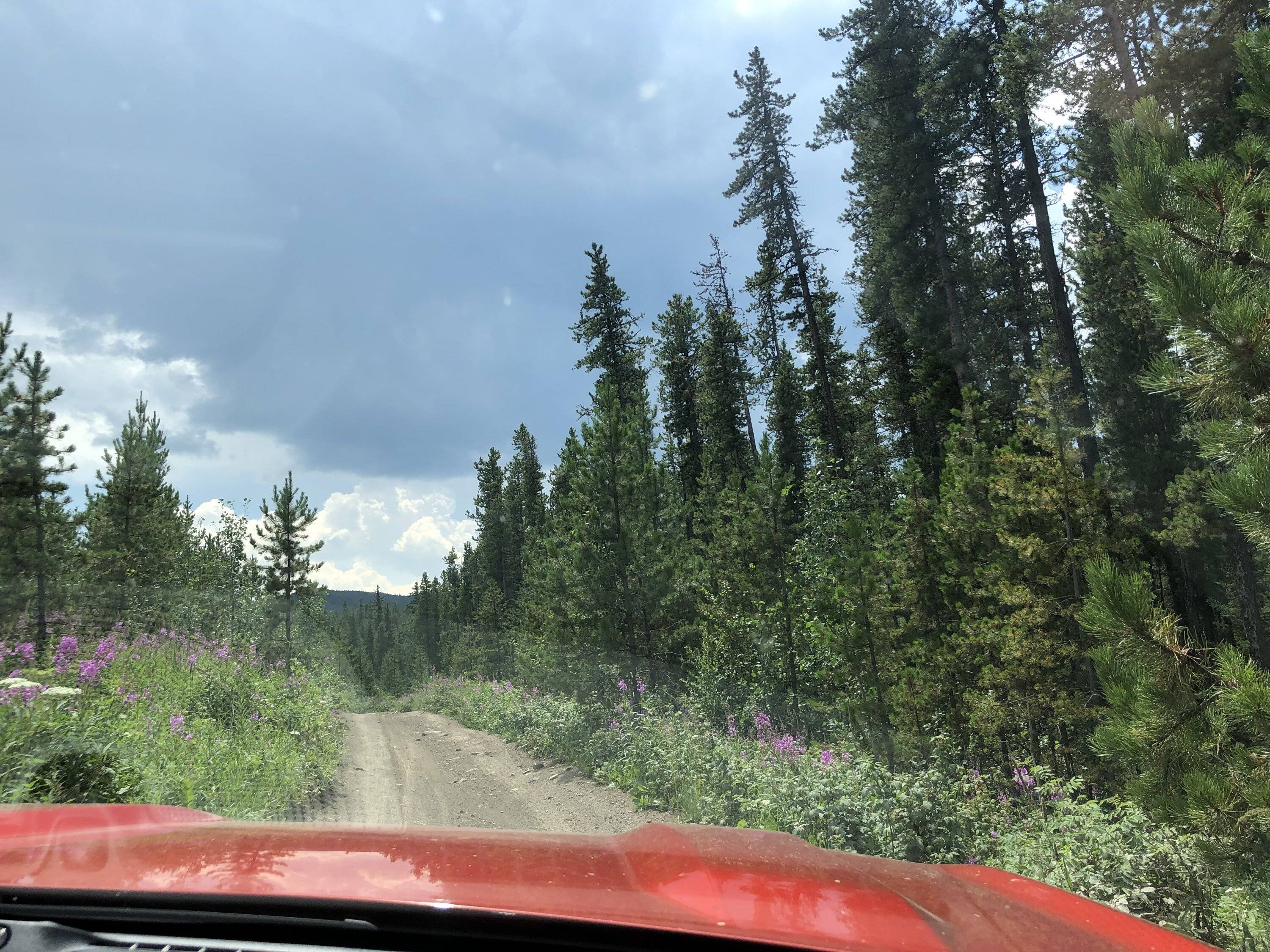 Ford Bronco Sport McLean Creek shenanigans (Bronco Sport shouldn’t be able to do this) IMG_6513