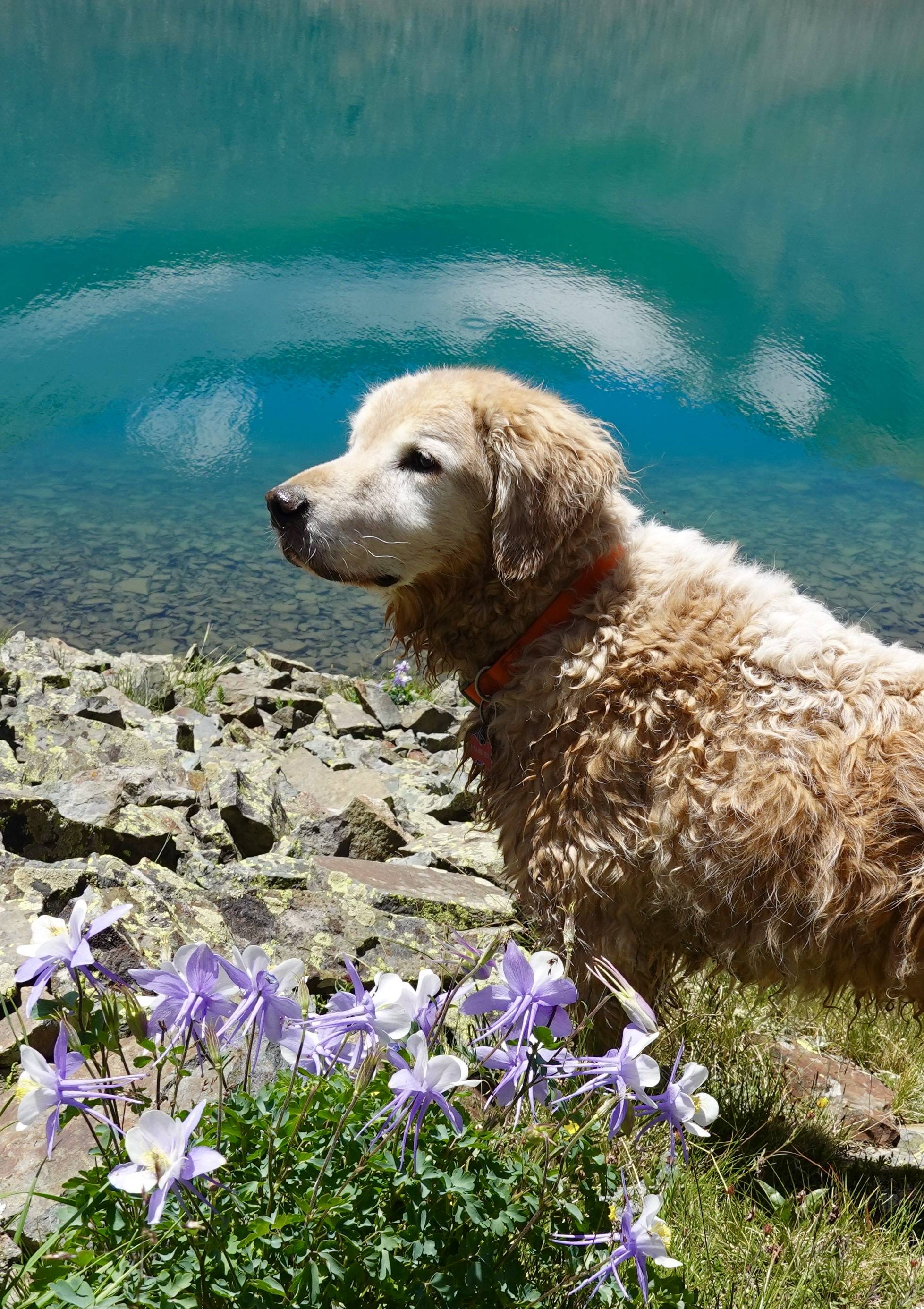 Ford Bronco Sport Hit the Ophir Pass and Brown’s Gulch in Southwest Colorado IMG_6514